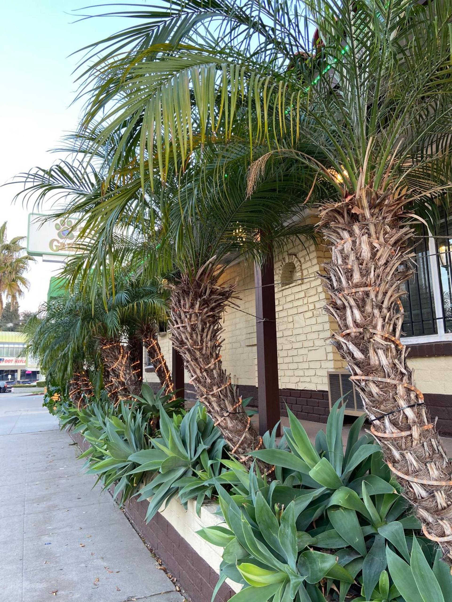 El Patio Inn - Near Universal Studios Hollywood photo 12