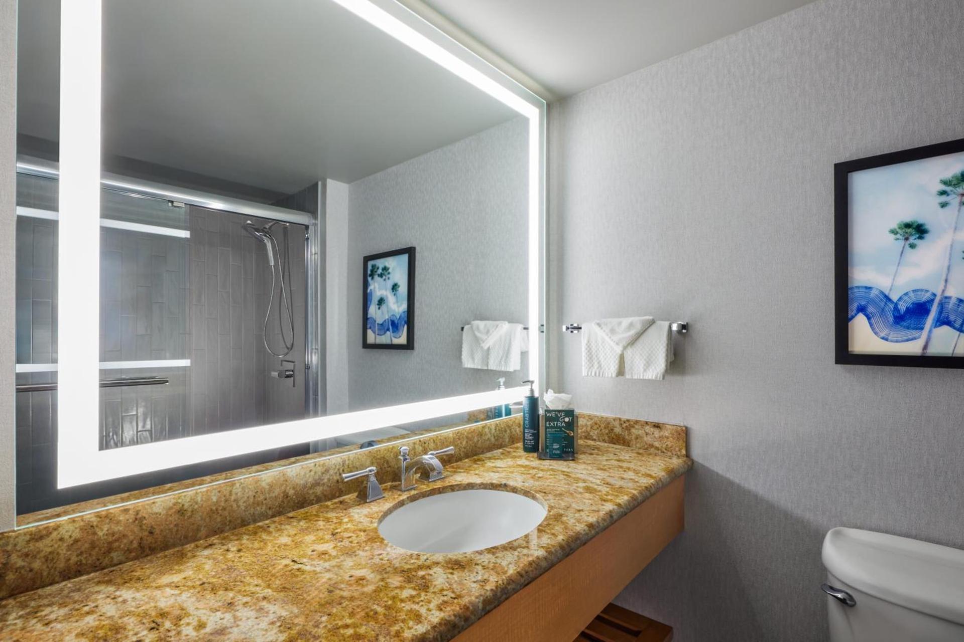 Hotel Fera Anaheim, a DoubleTree by Hilton Hotel photo 49