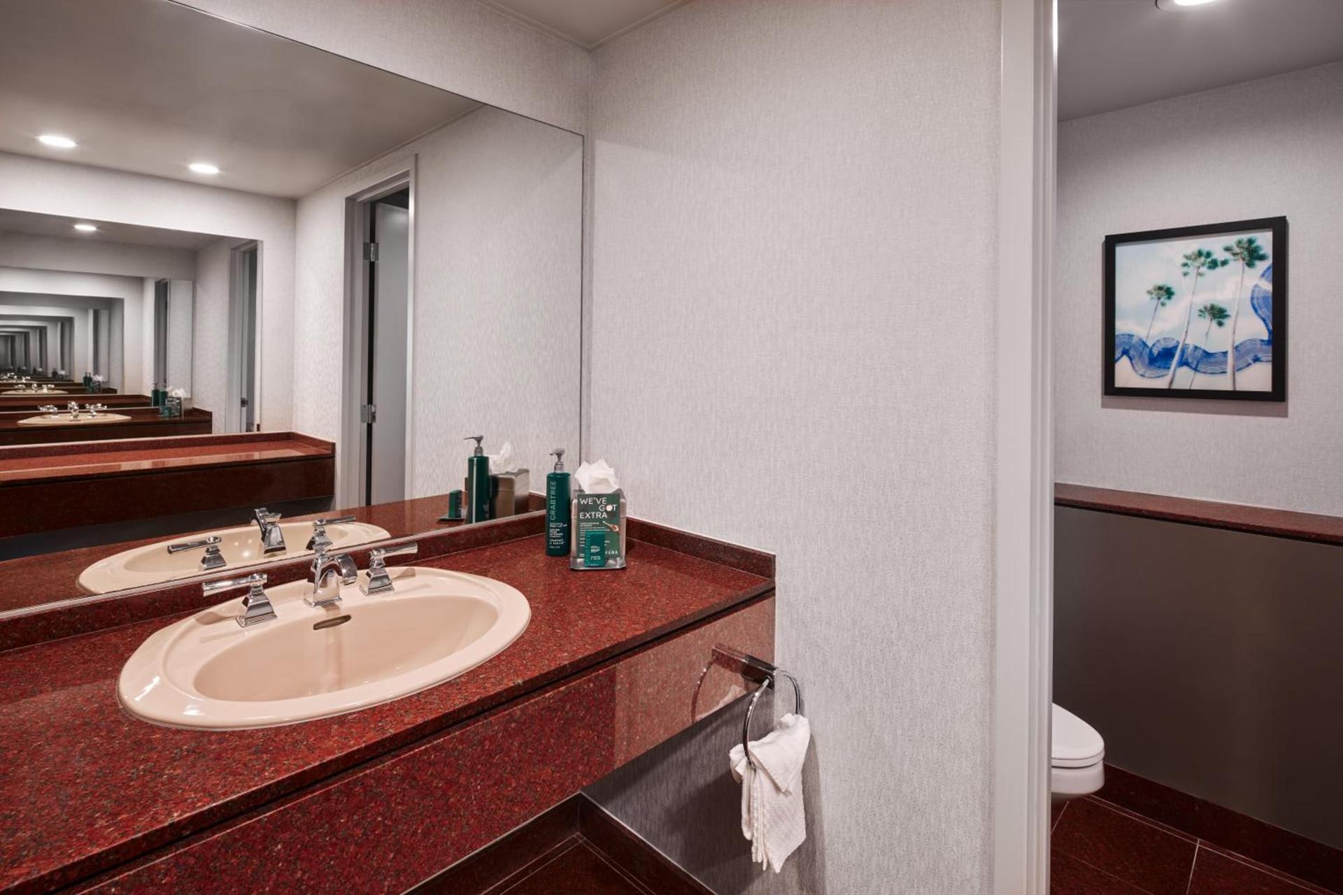 Hotel Fera Anaheim, a DoubleTree by Hilton Hotel photo 53
