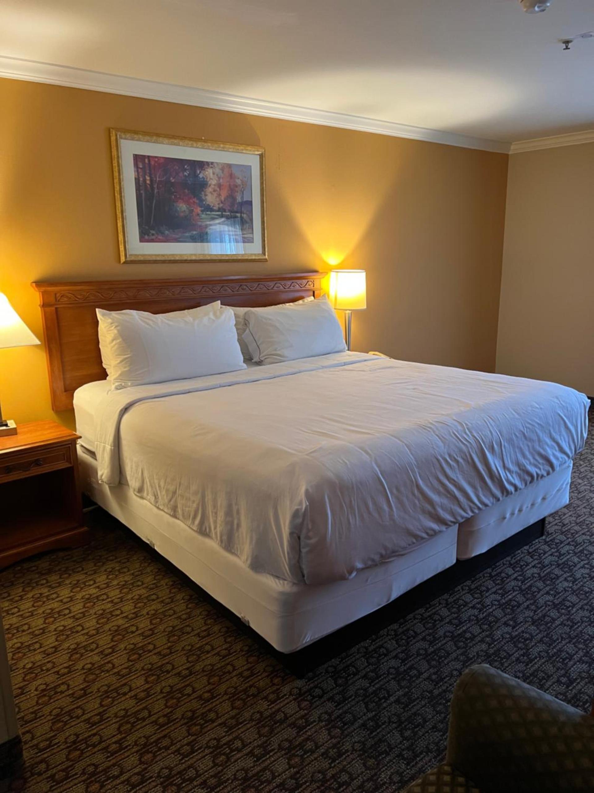 Hotel Xola photo 4