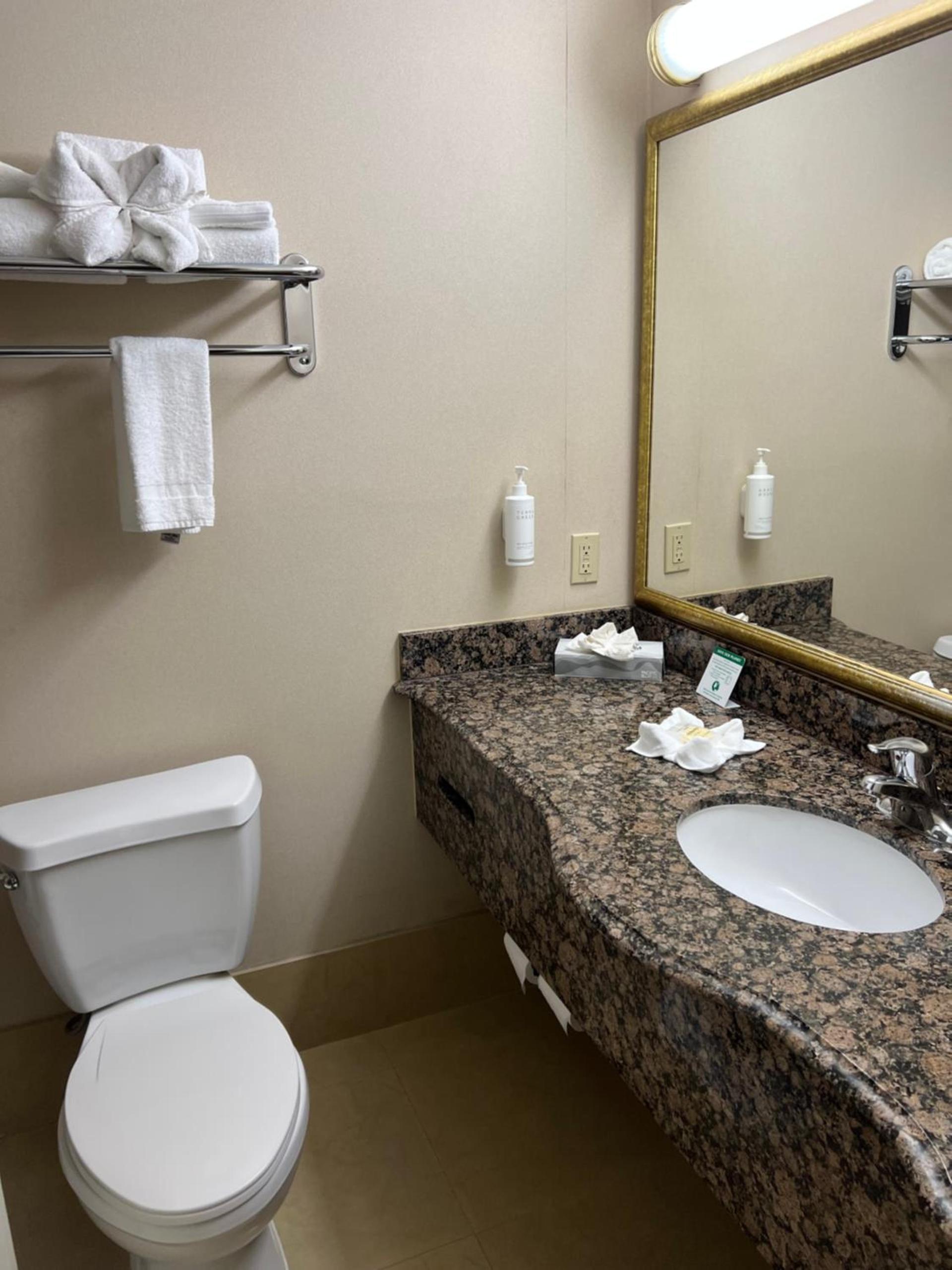 Hotel Xola photo 6