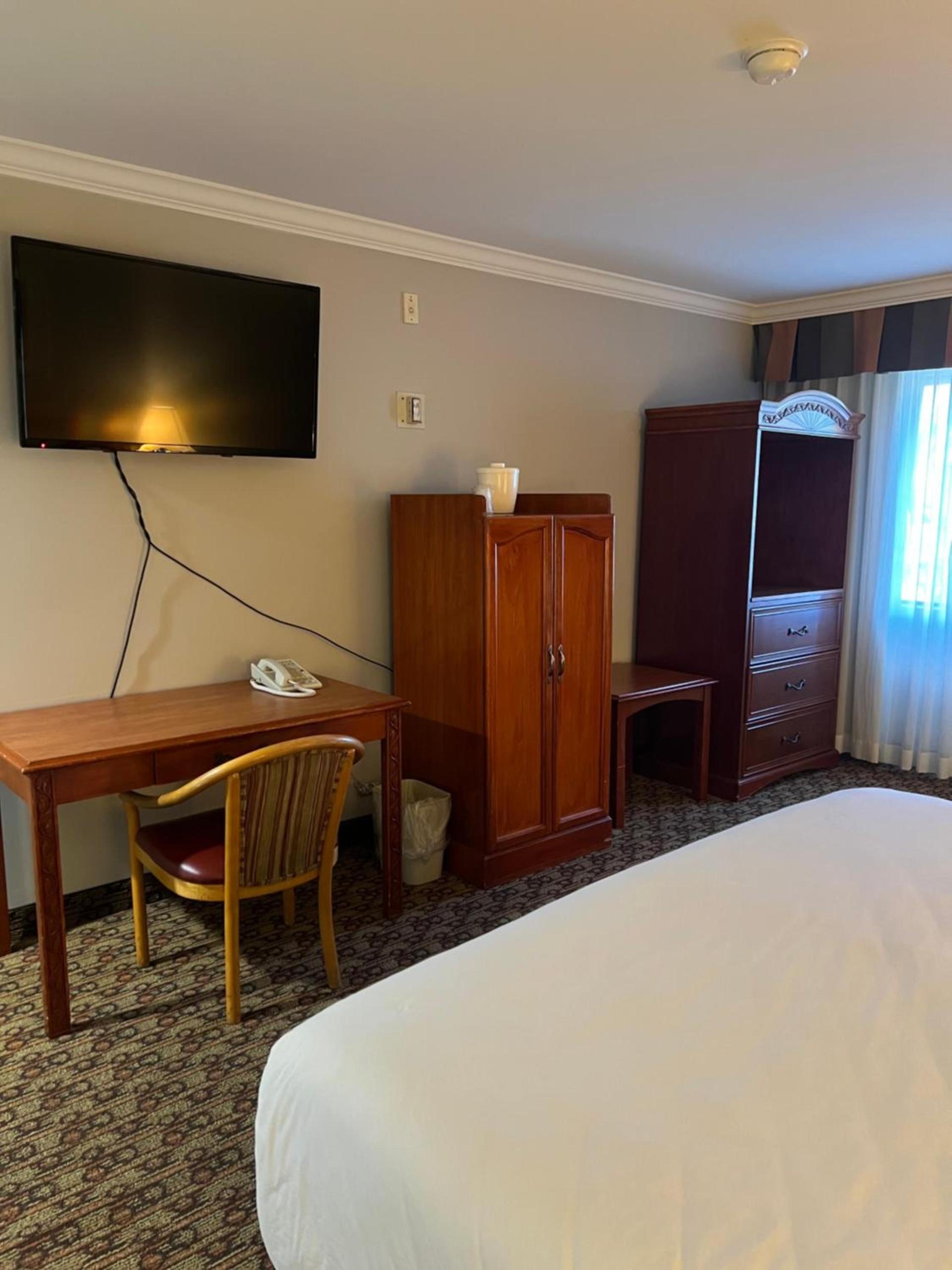 Hotel Xola photo 8