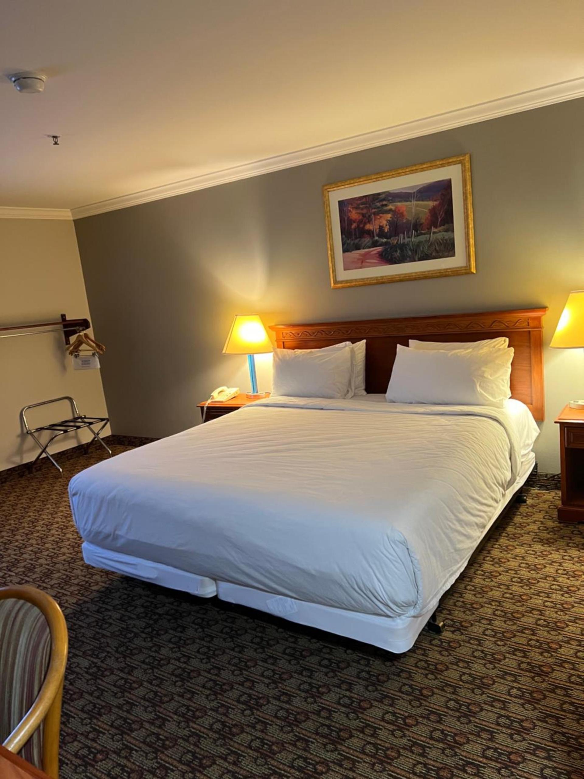 Hotel Xola photo 10