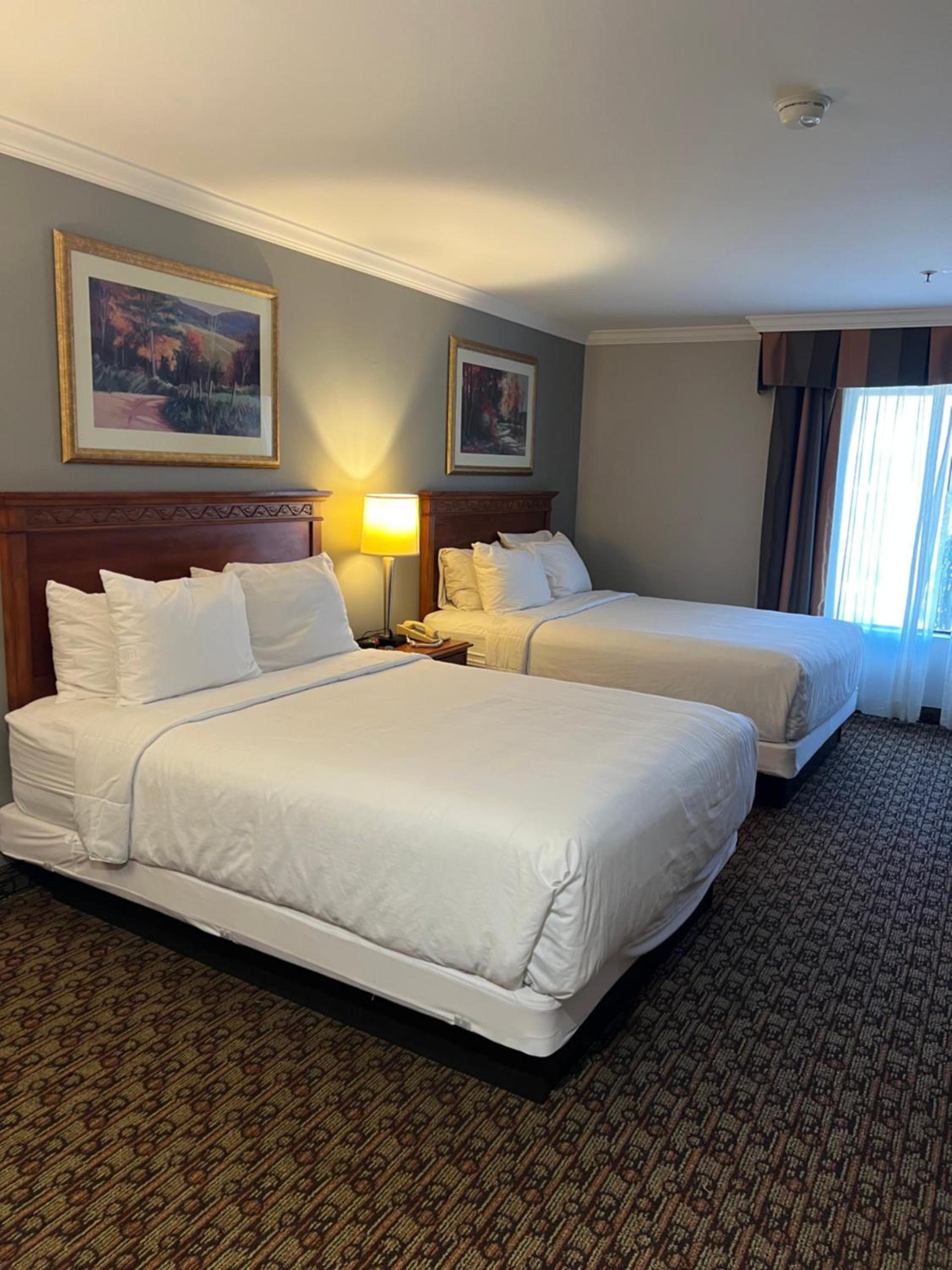 Hotel Xola photo 12