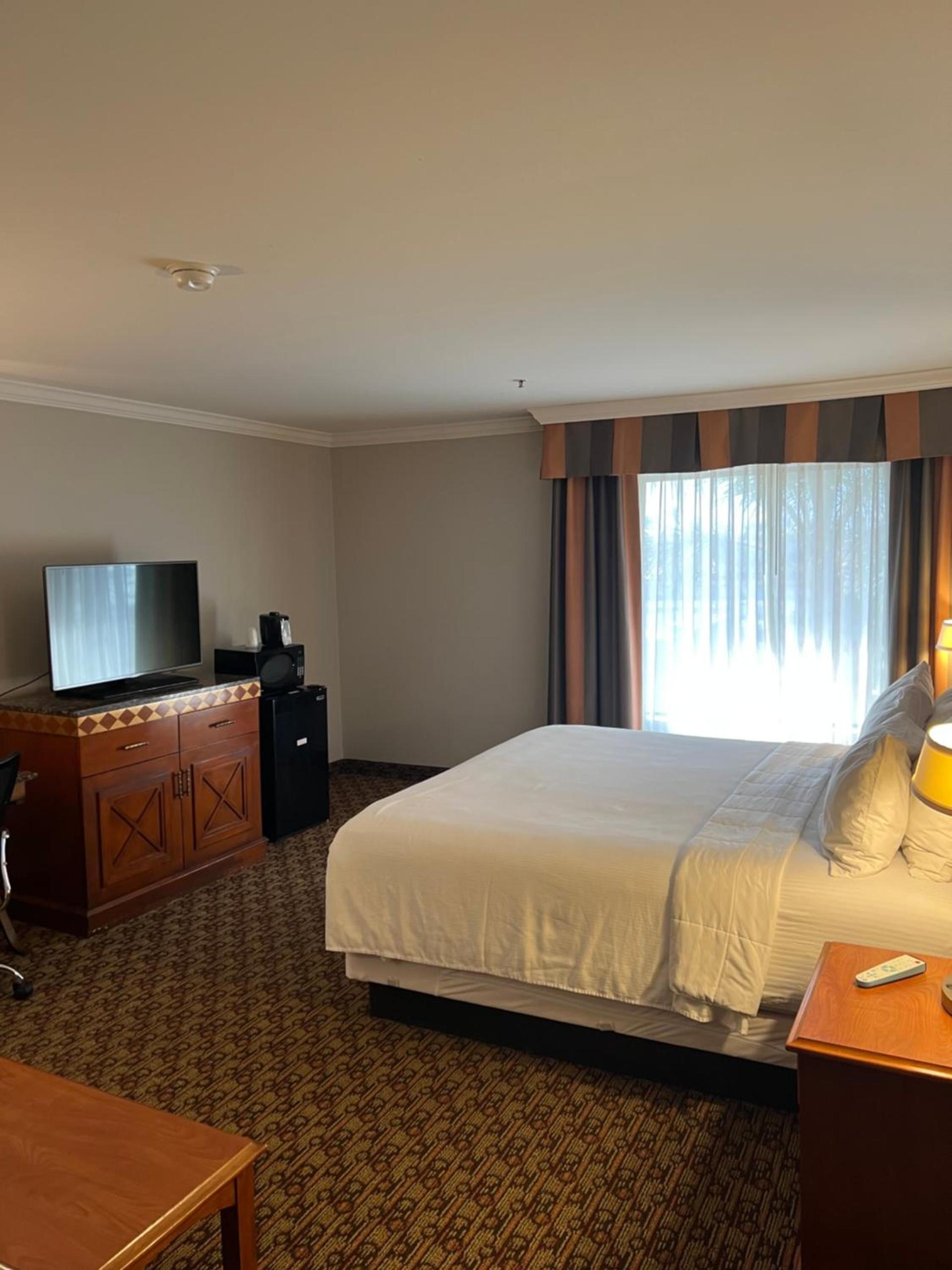 Hotel Xola photo 15
