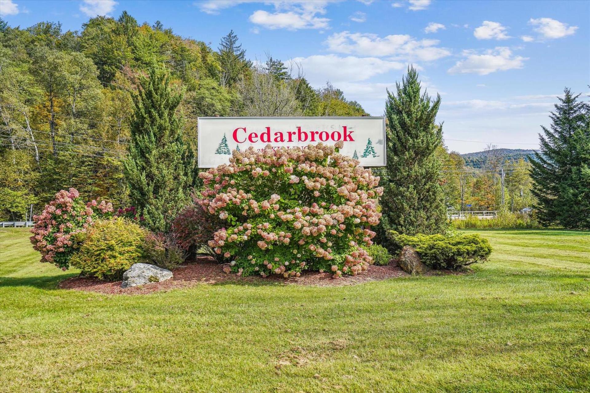 Cedarbrook Hotel Room w/2 Doubles 116 photo 13