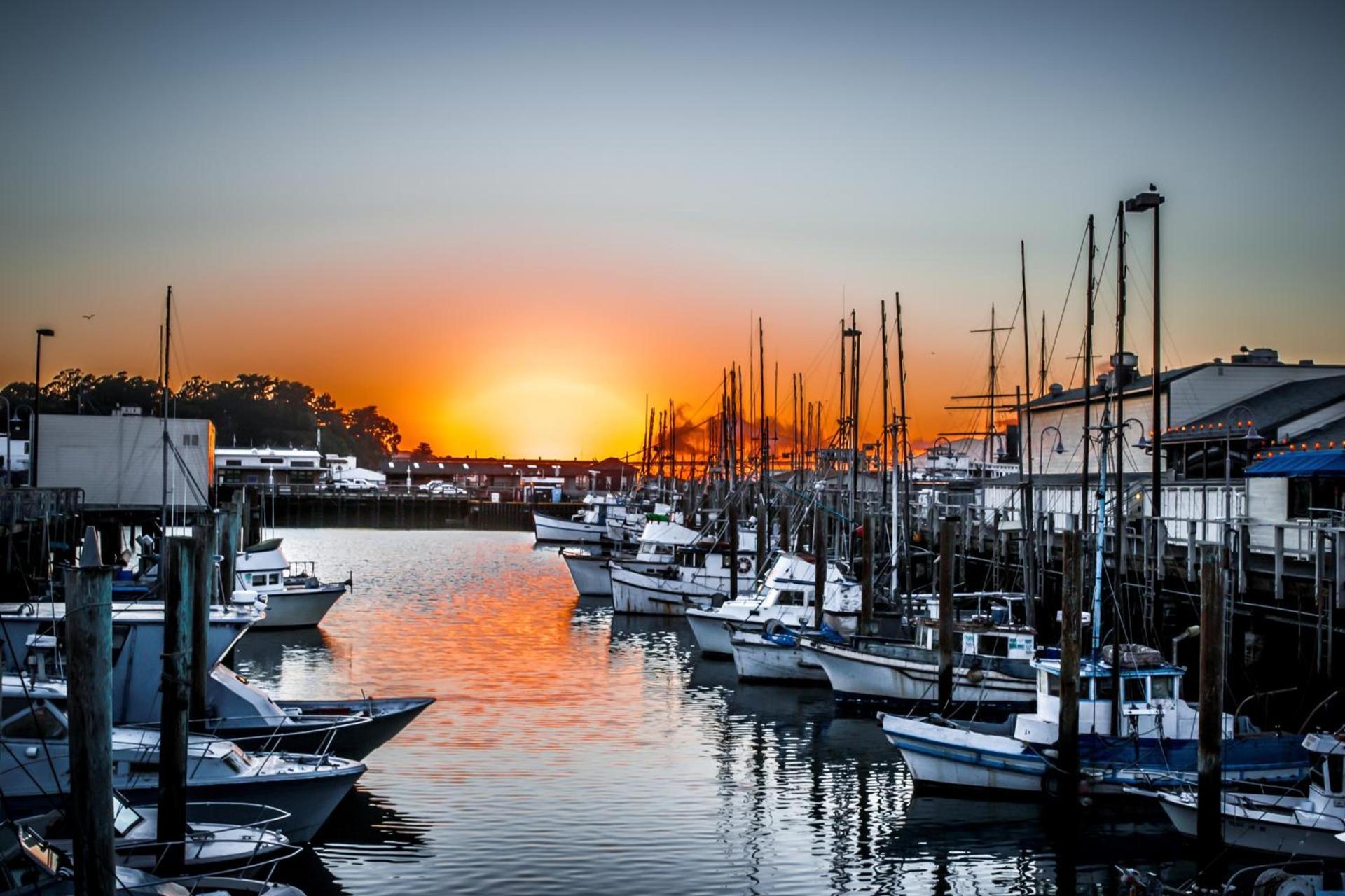 The Wharf Inn photo 20