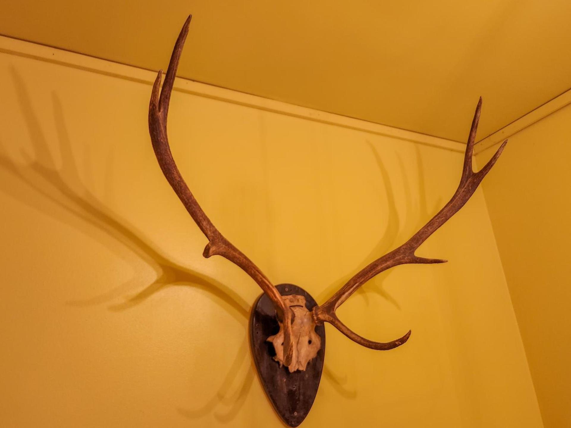 Belleayre Lodge photo 17