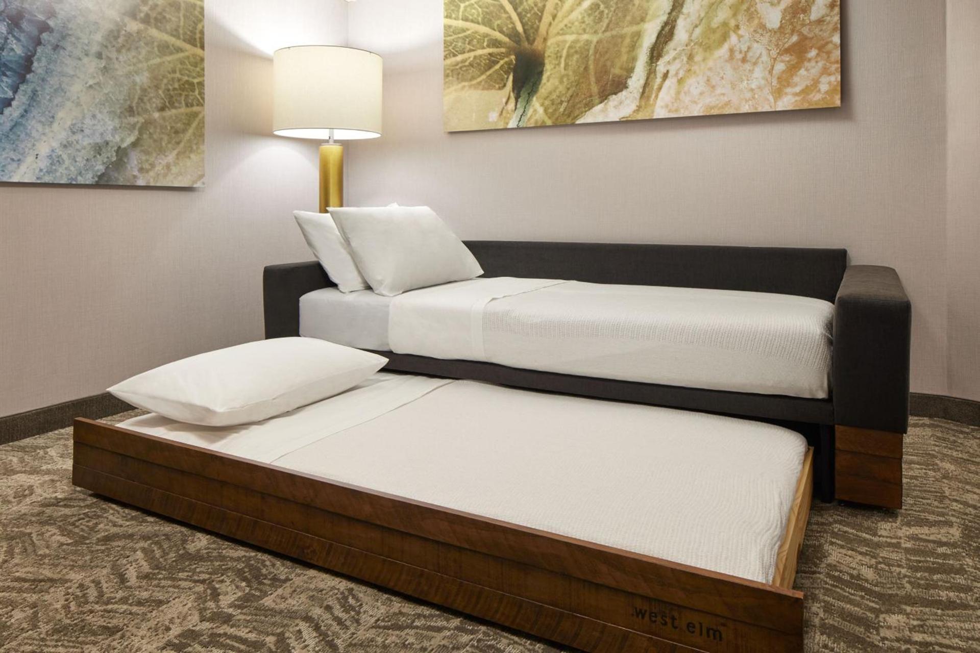 SpringHill Suites by Marriott Frederica photo 33
