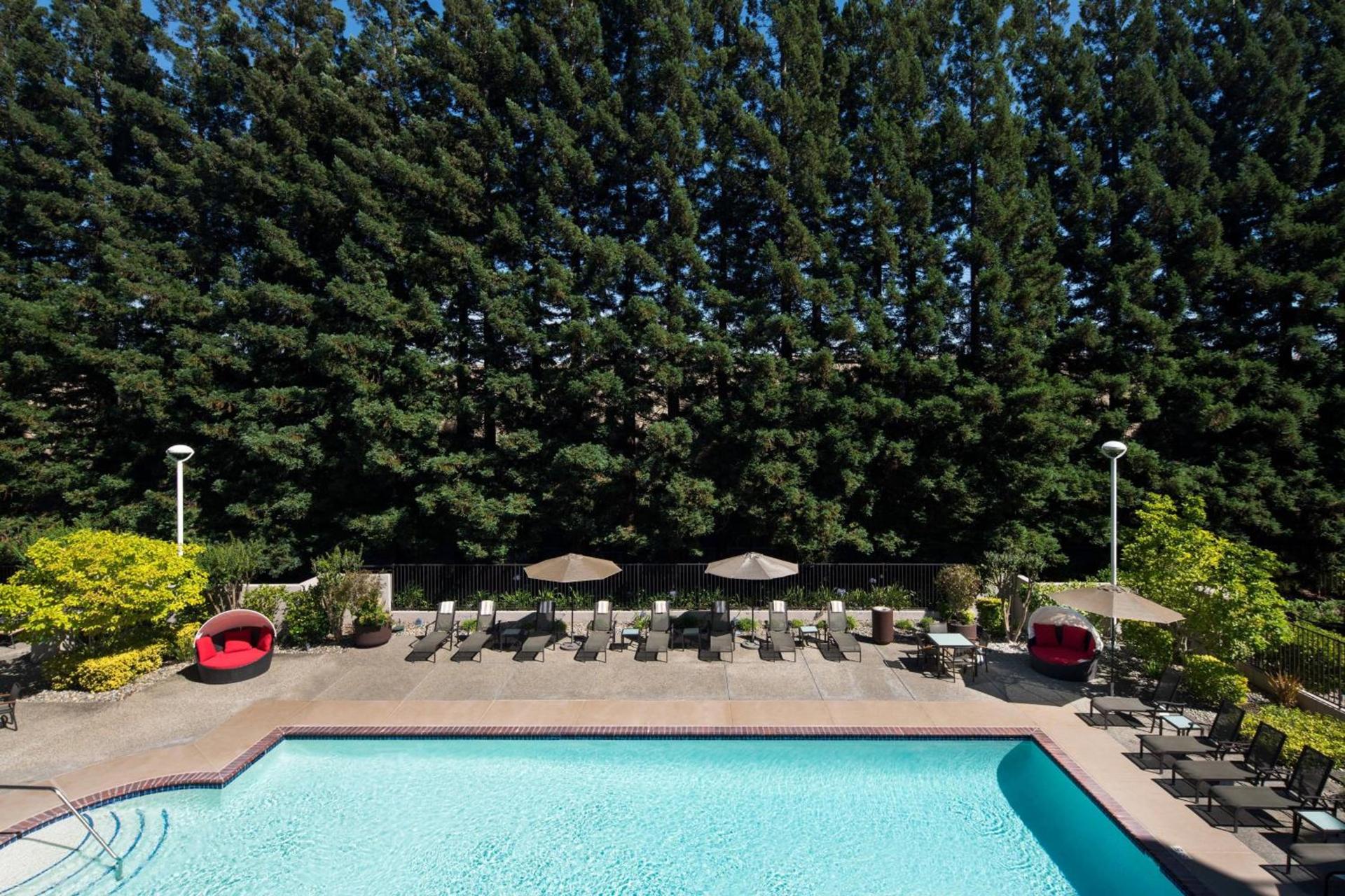 San Ramon Marriott photo 17