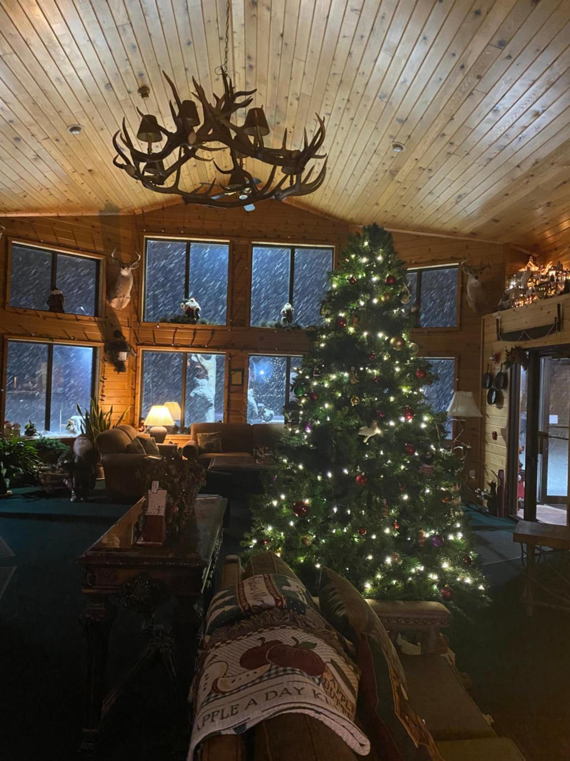 Boulder Bear Motor Lodge photo 52