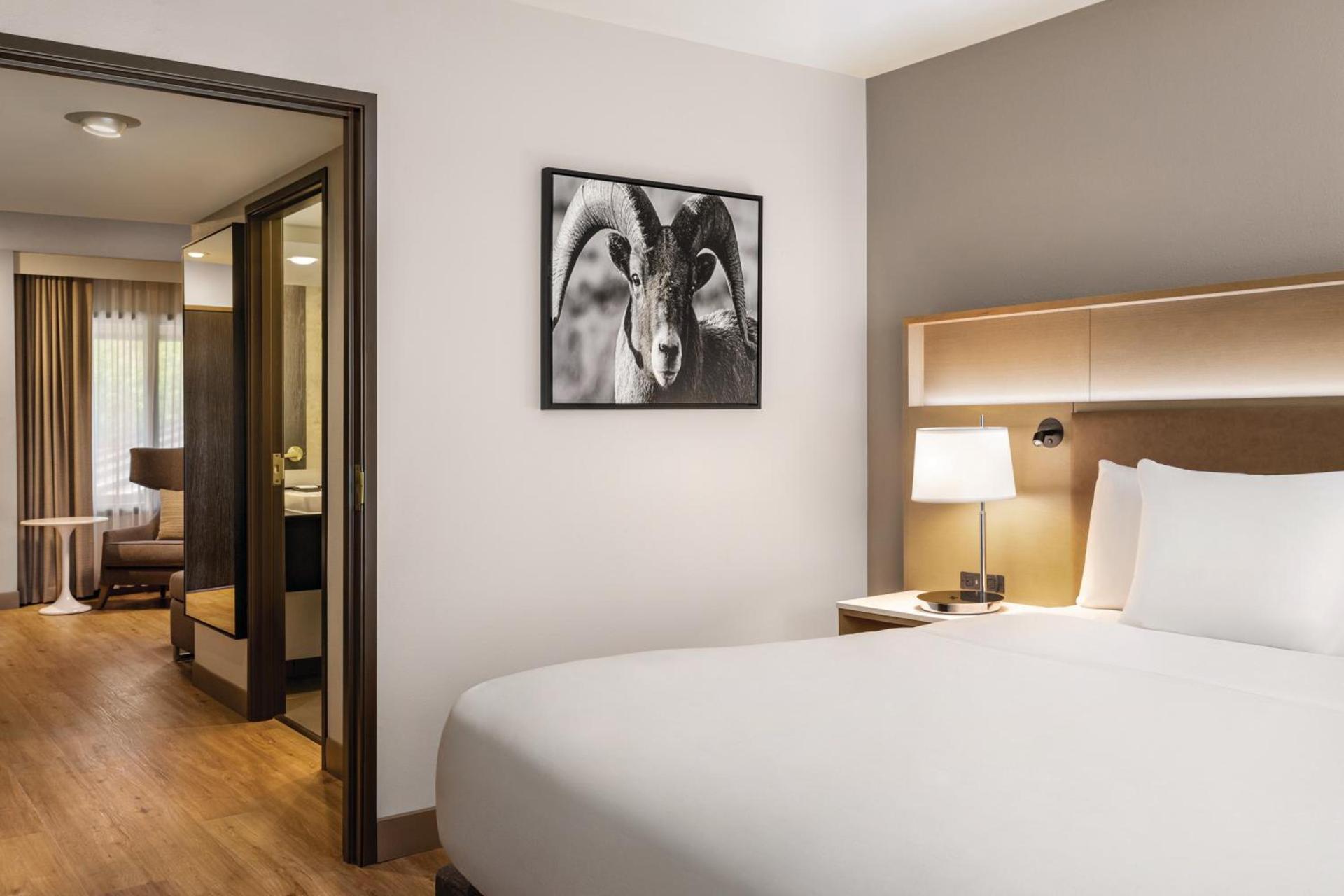 Radisson Hotel Colorado Springs Airport photo 39