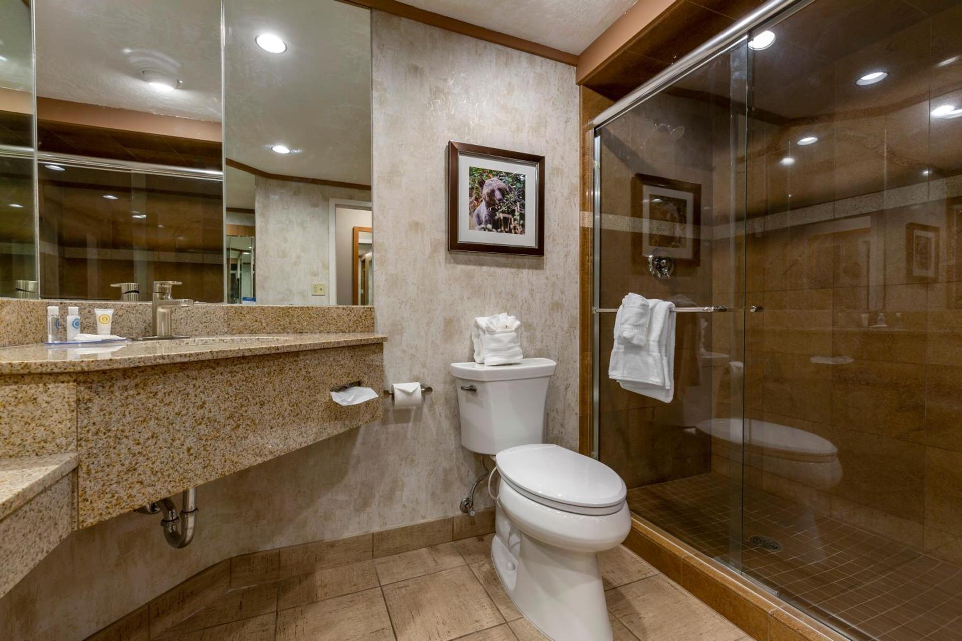 Comfort Inn Missoula North Shopping District photo 5