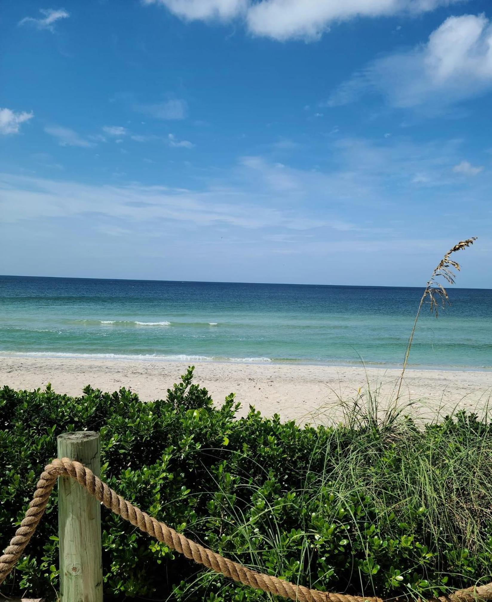 The Pearl Beach Inn photo 10
