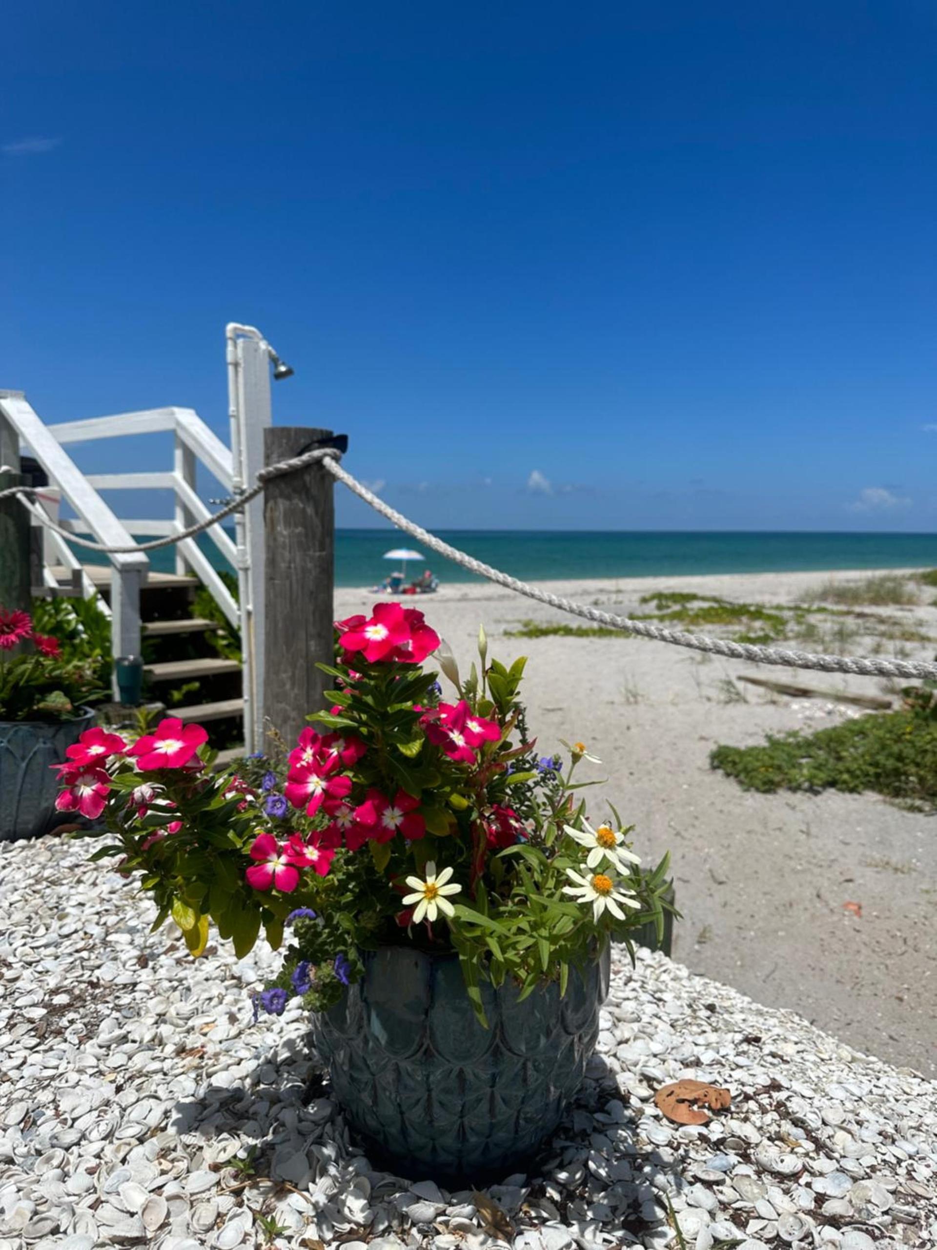 The Pearl Beach Inn photo 55