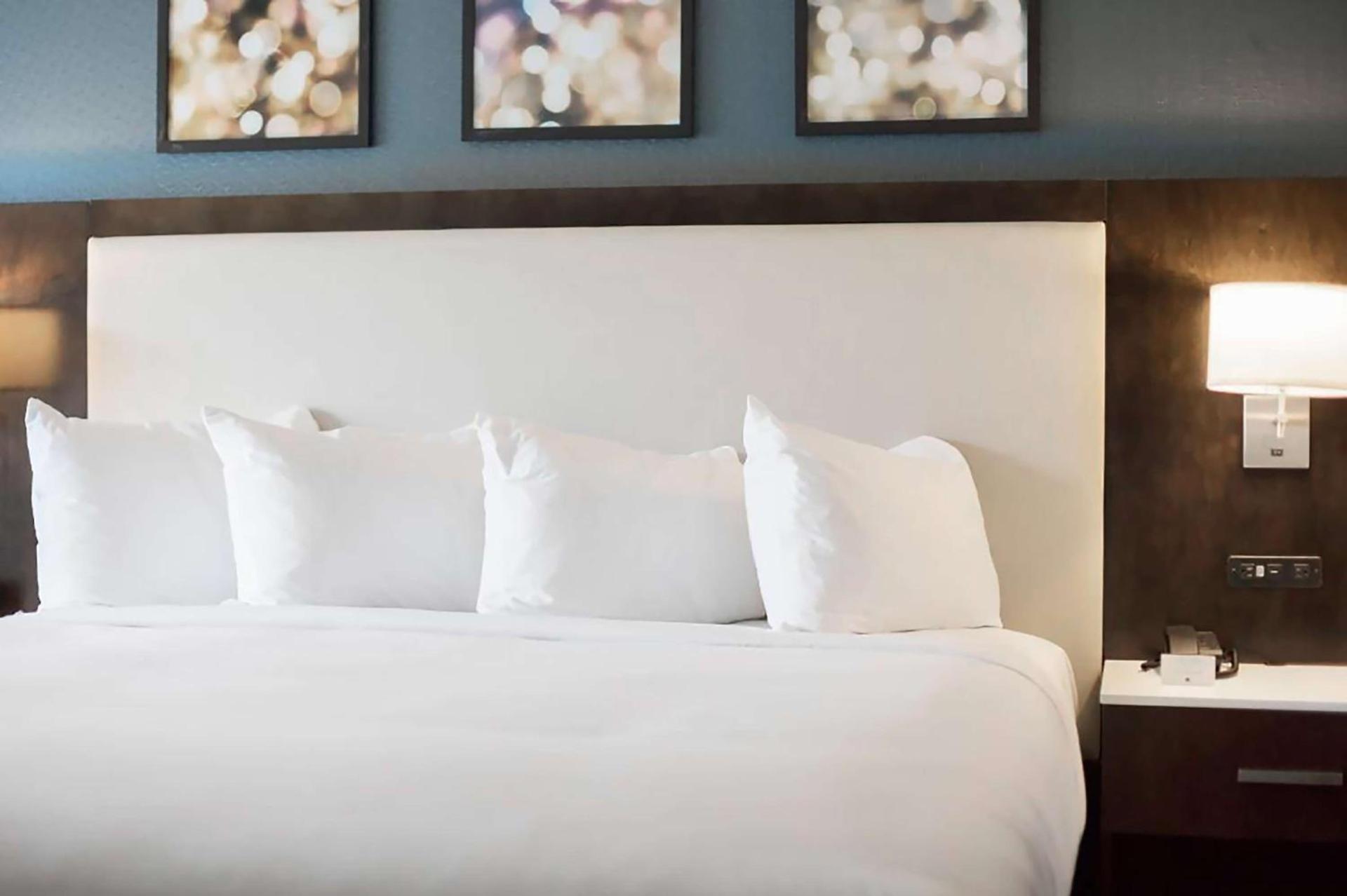 Hilton Garden Inn Minneapolis - University Area photo 14