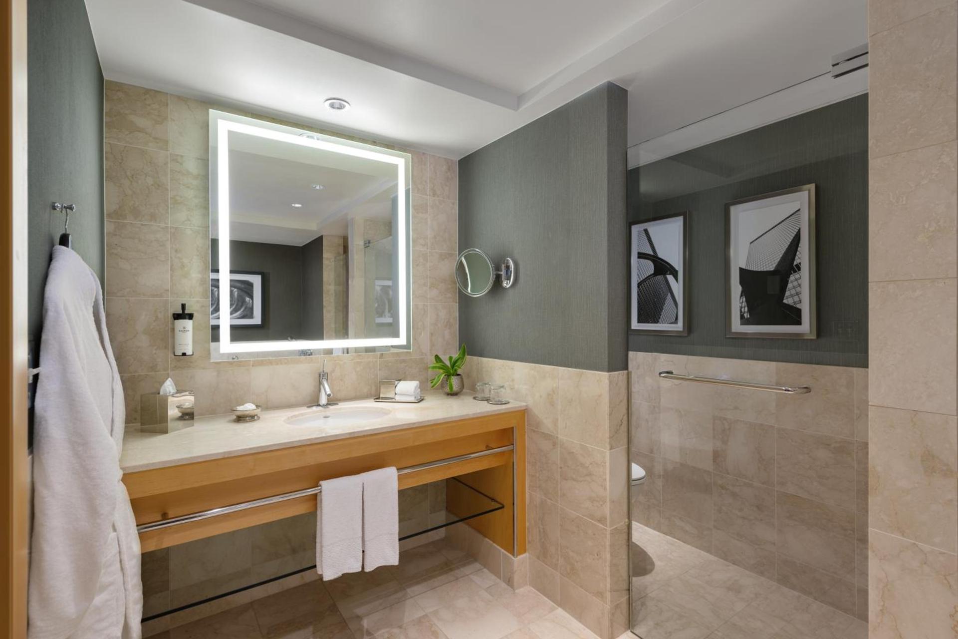 Sofitel Chicago Magnificent Mile photo 67