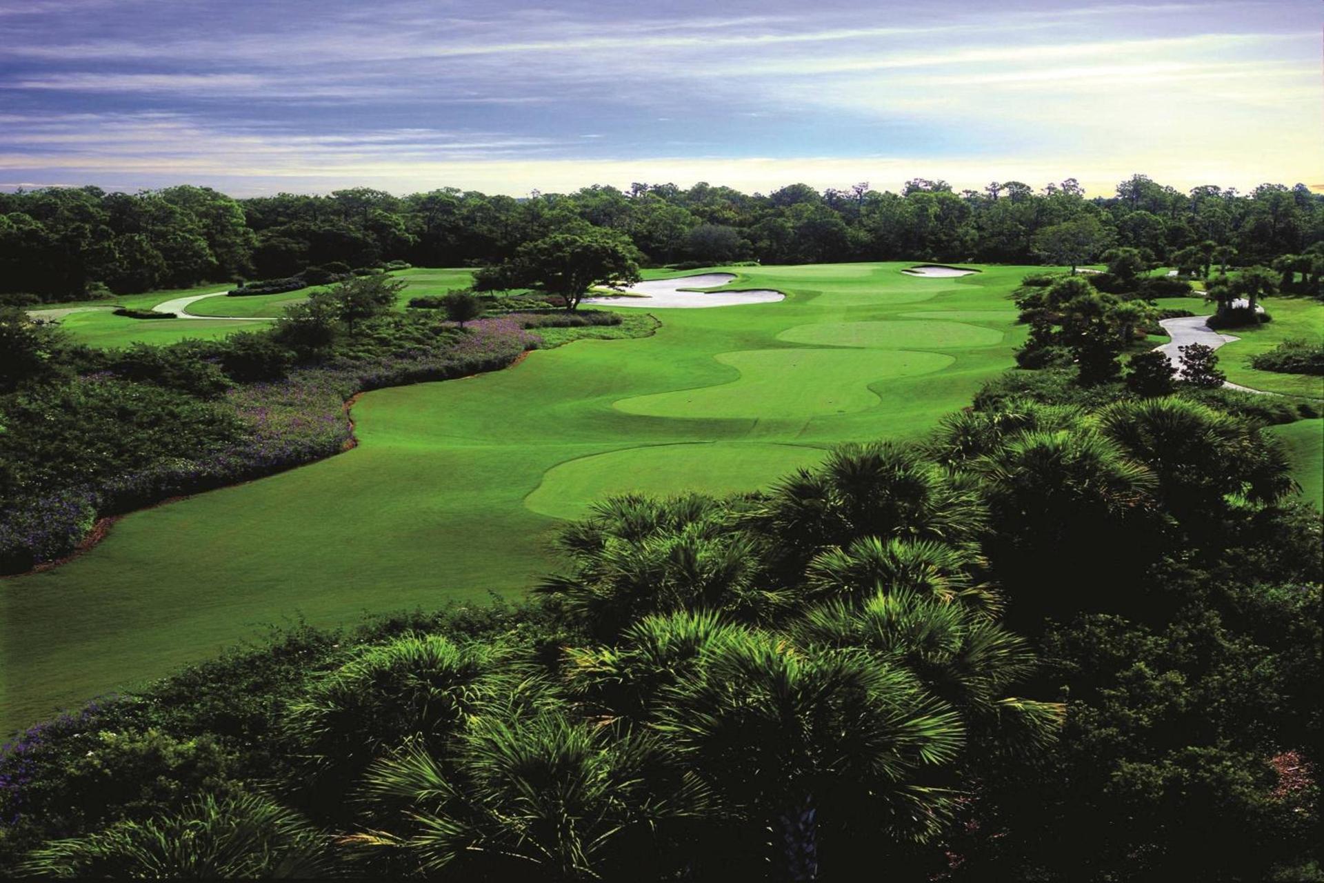 The Ritz-Carlton, Sarasota photo 87