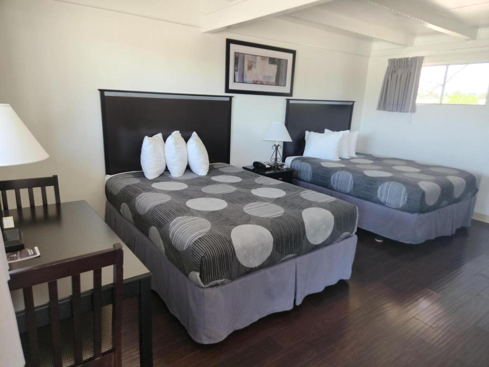 The View Motel photo 9