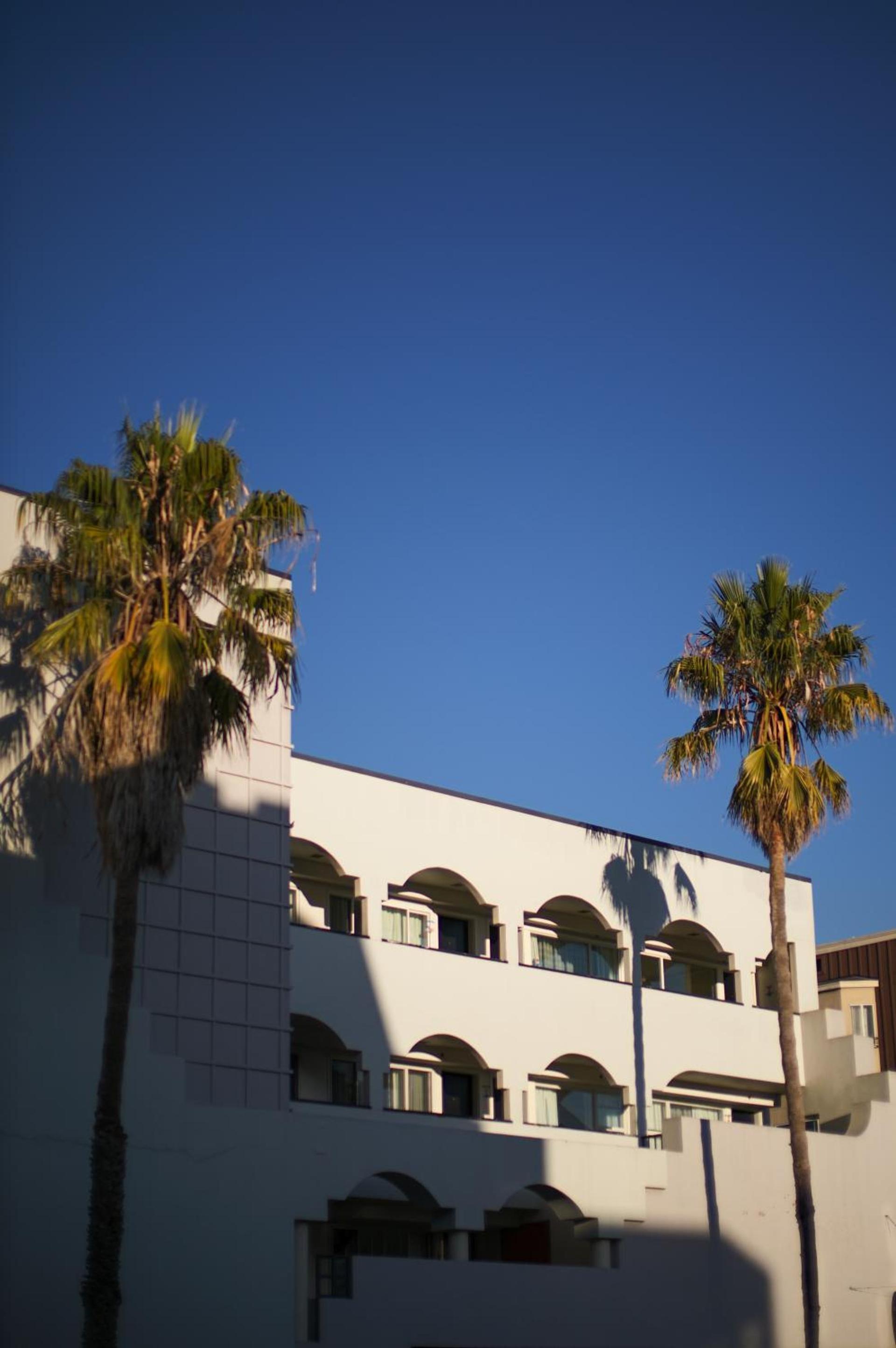 SoMa House photo 1