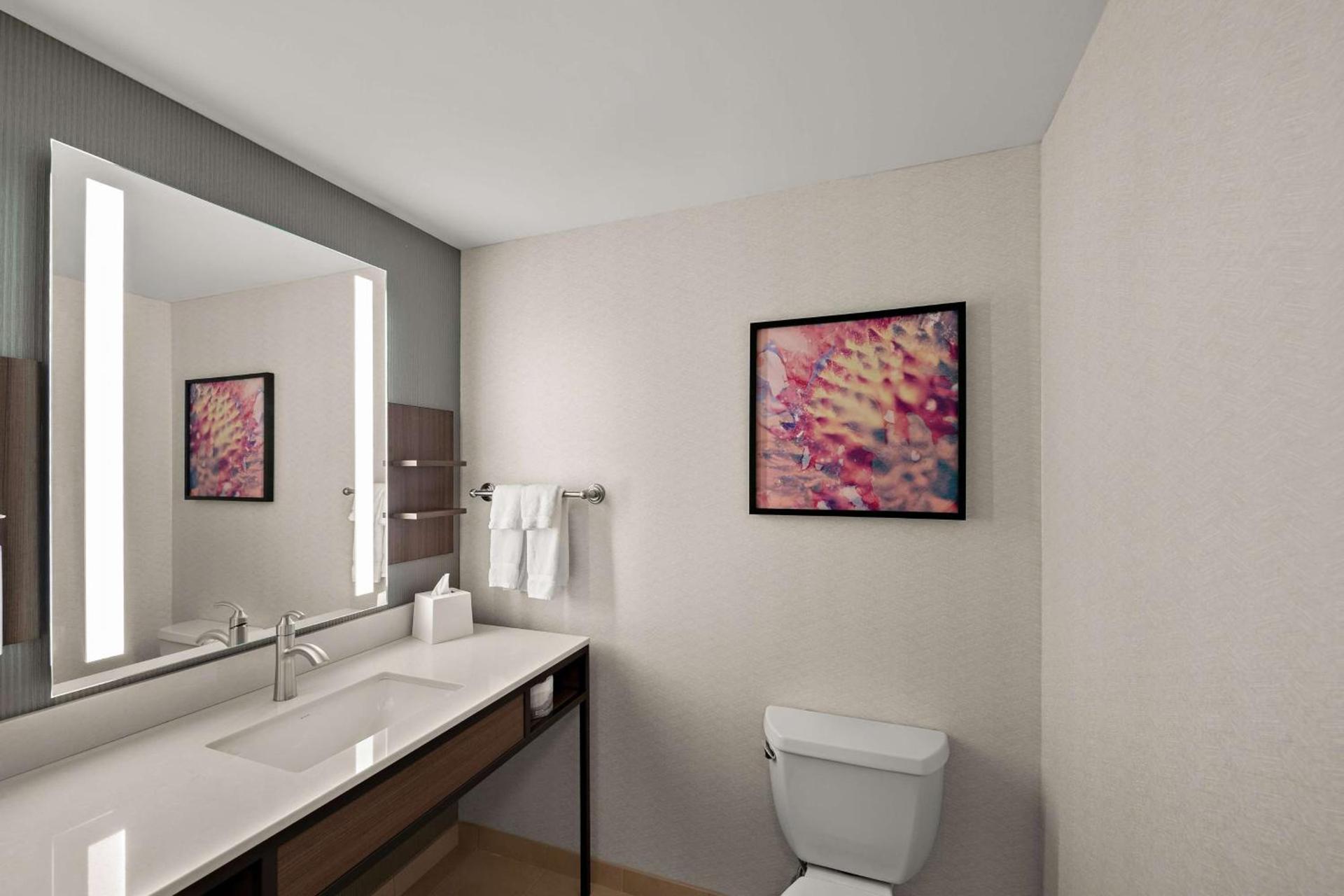 Hilton Garden Inn Omaha East/Council Bluffs photo 46