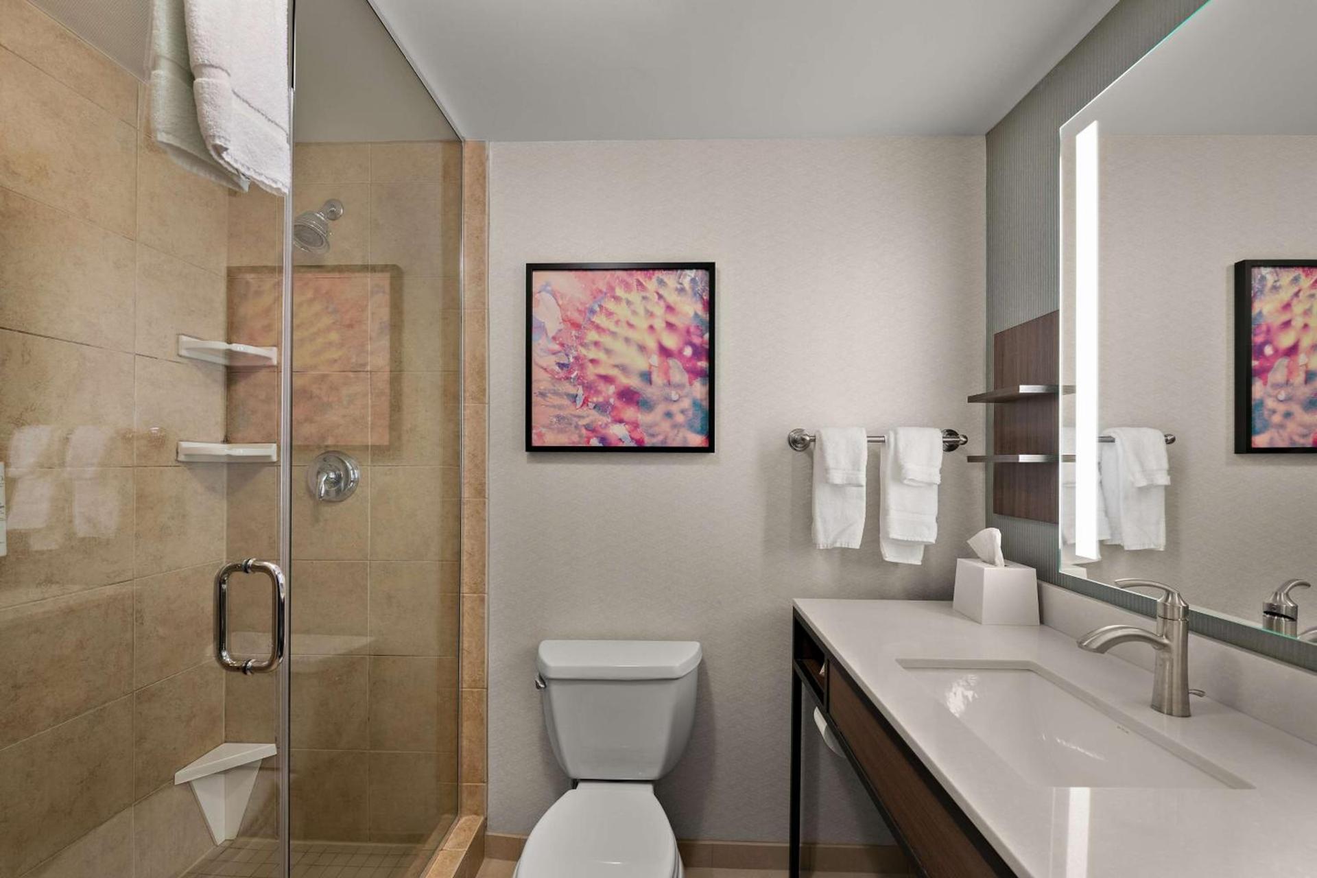 Hilton Garden Inn Omaha East/Council Bluffs photo 47