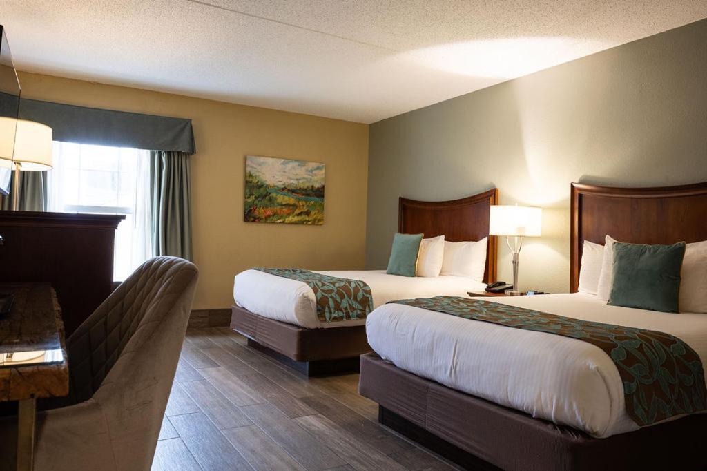 D. Hotel Suites & Spa photo 28