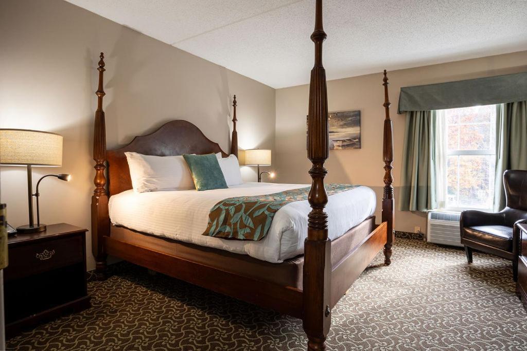 D. Hotel Suites & Spa photo 38