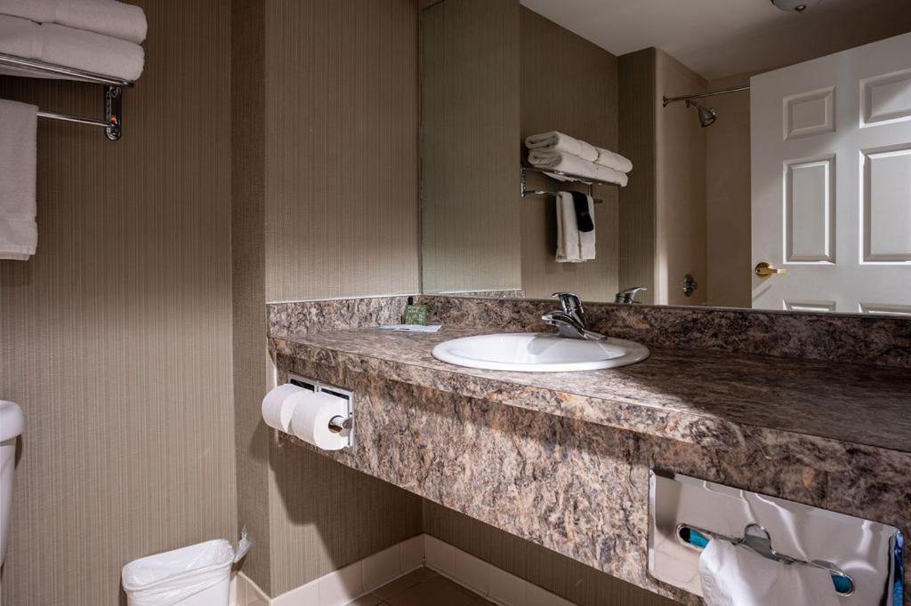 D. Hotel Suites & Spa photo 41