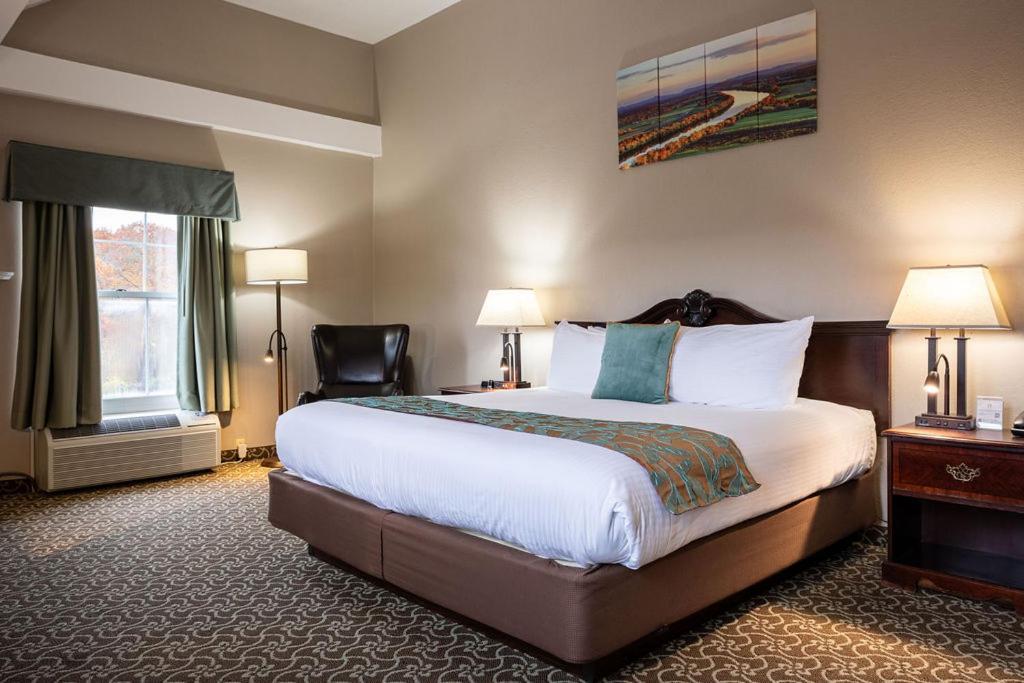 D. Hotel Suites & Spa photo 39