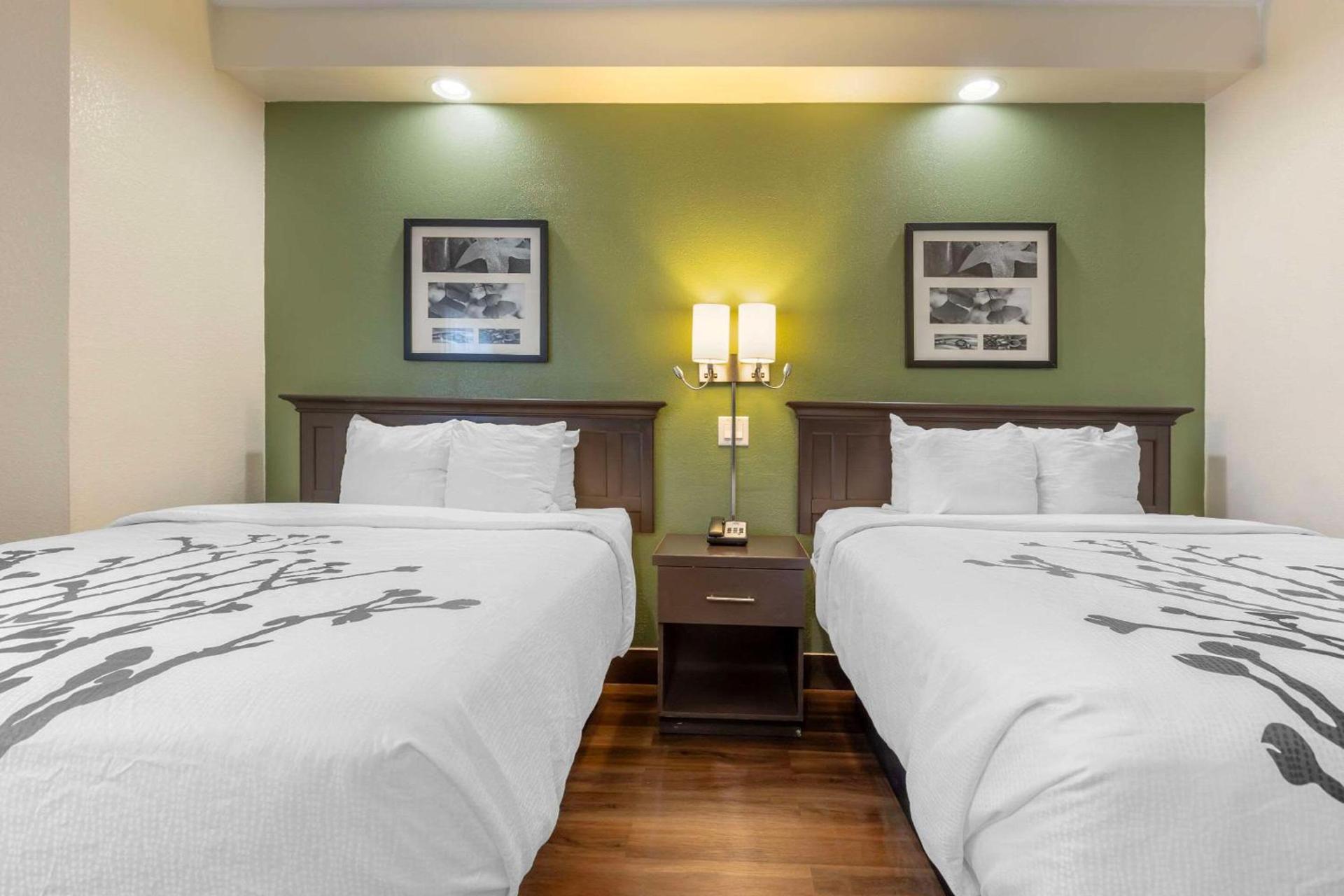 Sleep Inn photo 14