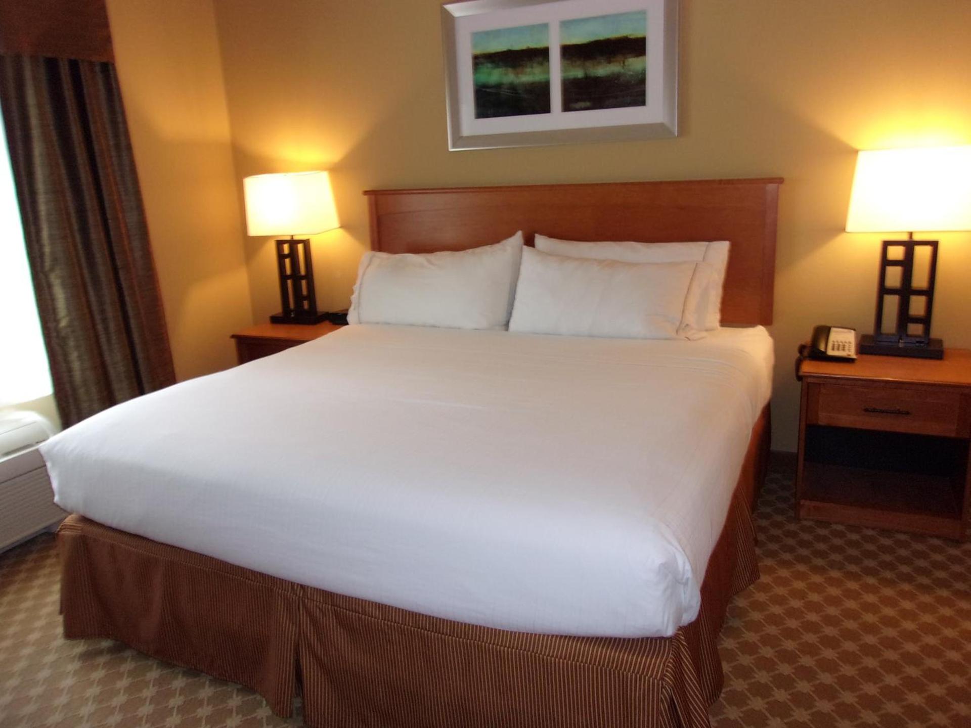 Holiday Inn Express Hotel & Suites Chicago West Roselle by IHG photo 2