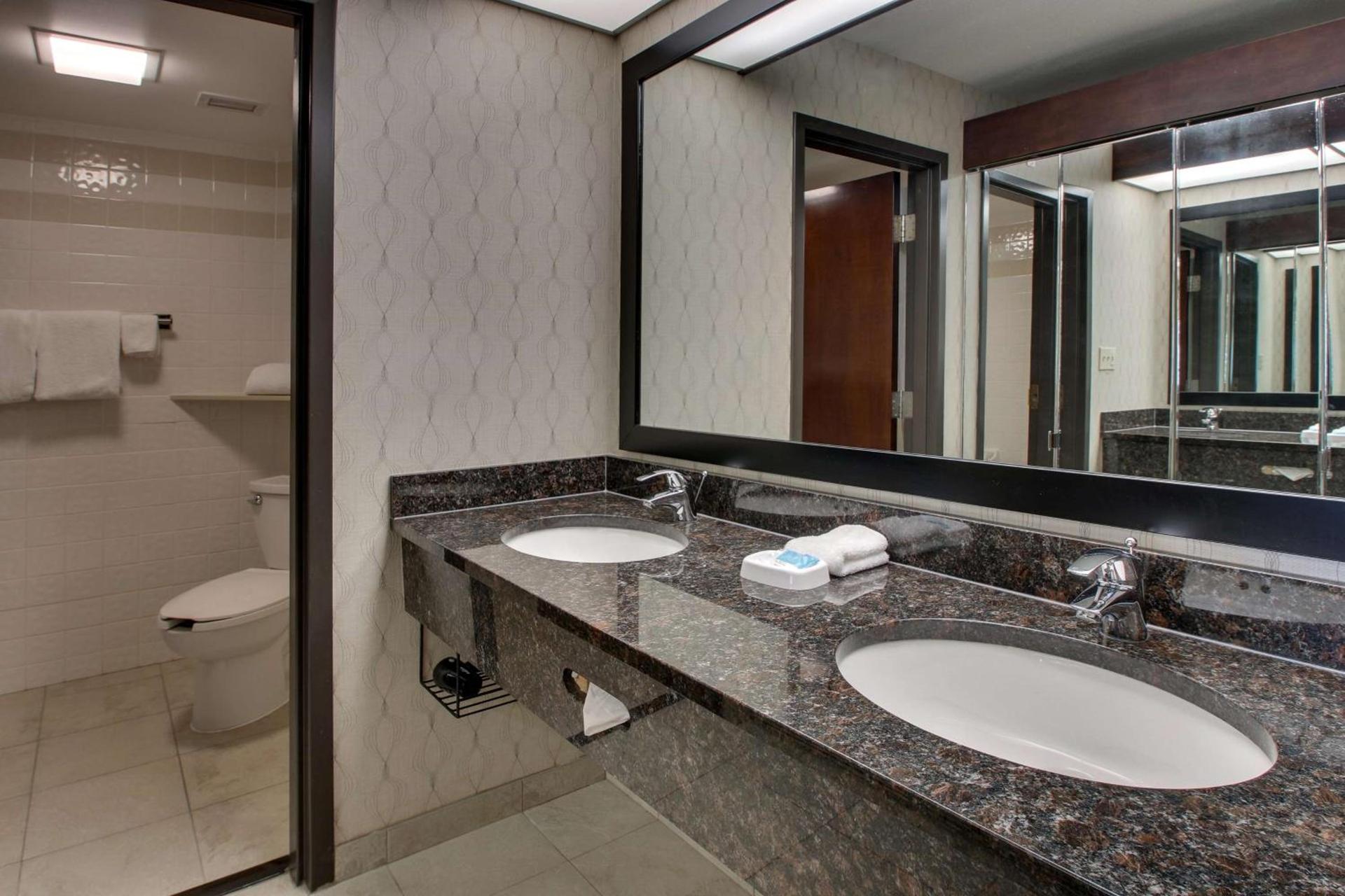 Drury Inn & Suites Houston Galleria photo 19