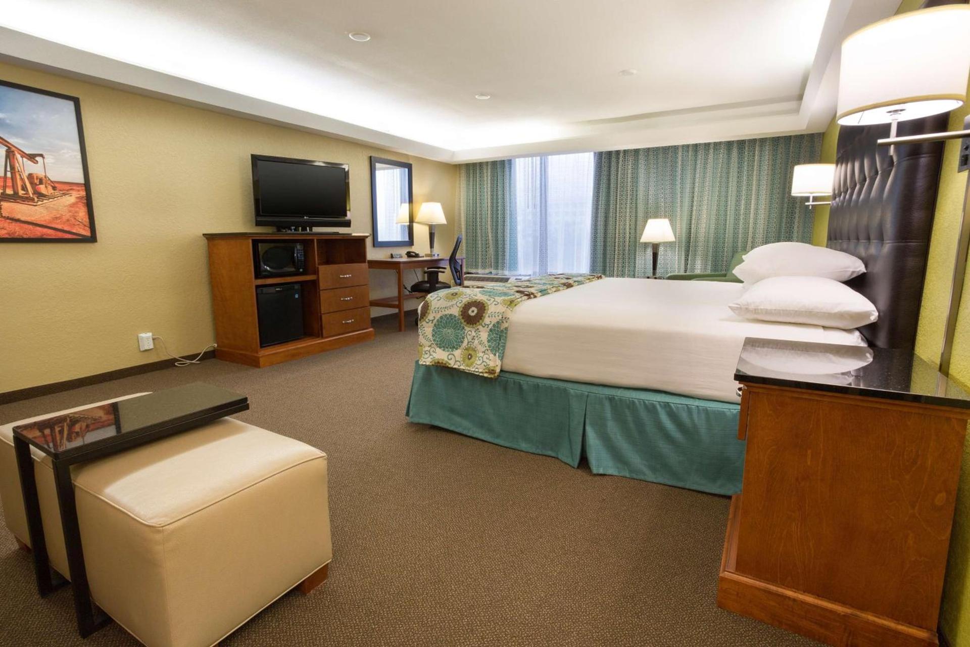 Drury Inn & Suites Houston Galleria photo 23