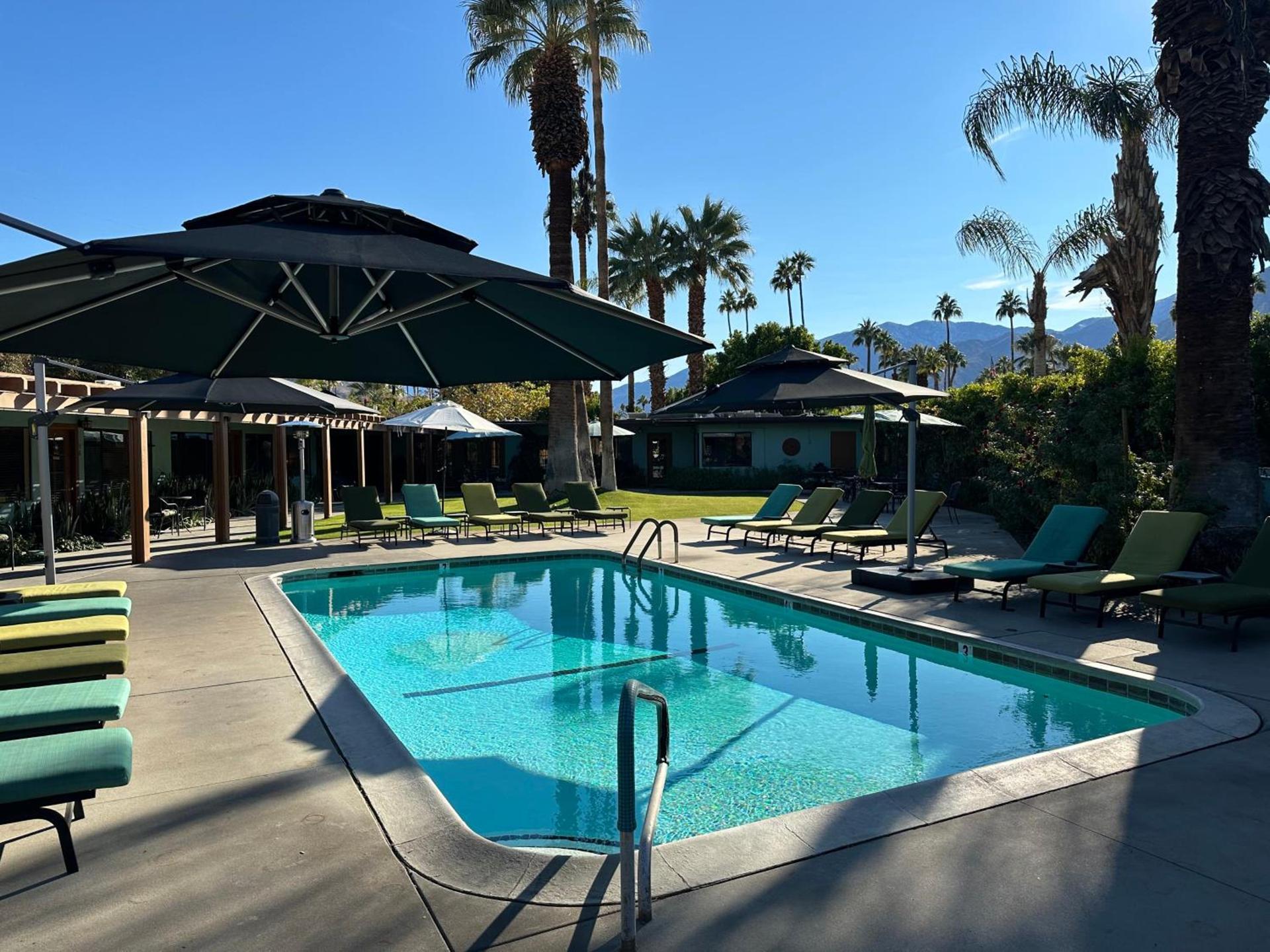 Vista Grande Resort - A Gay Men's Resort photo 40