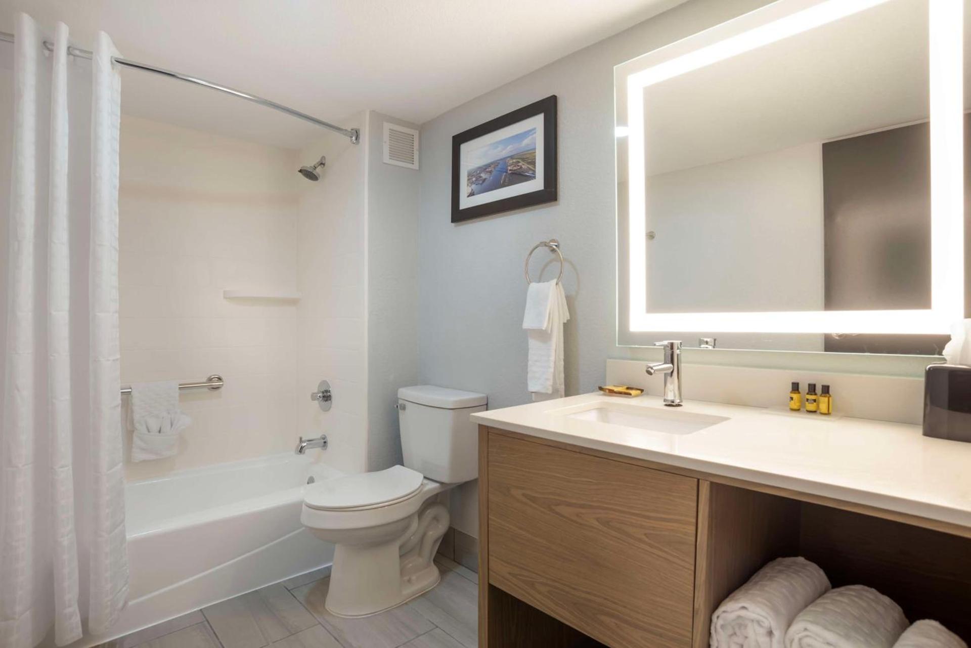 Best Western Plus Mobile Inn and Suites photo 30