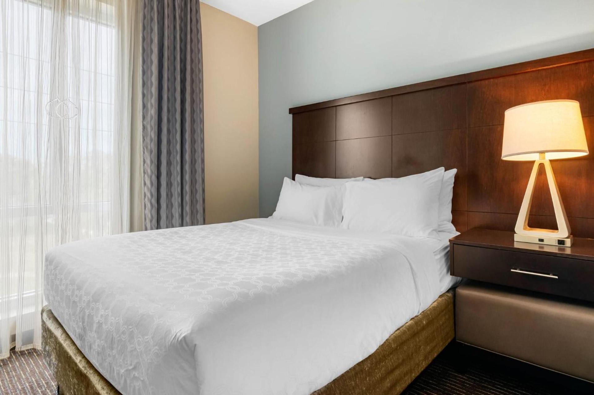 Staybridge Suites St. Petersburg FL by IHG photo 82