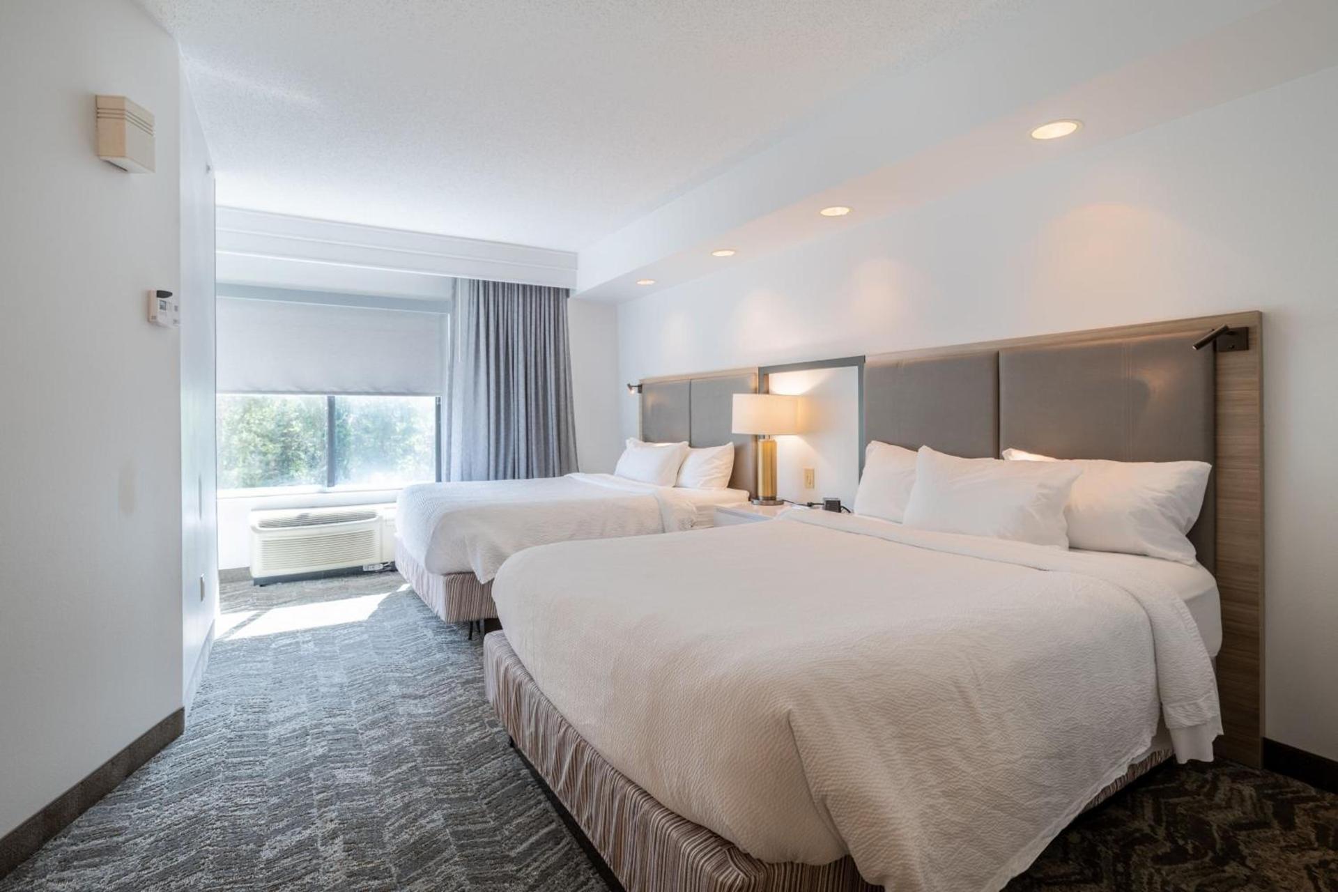 SpringHill Suites Gainesville photo 59