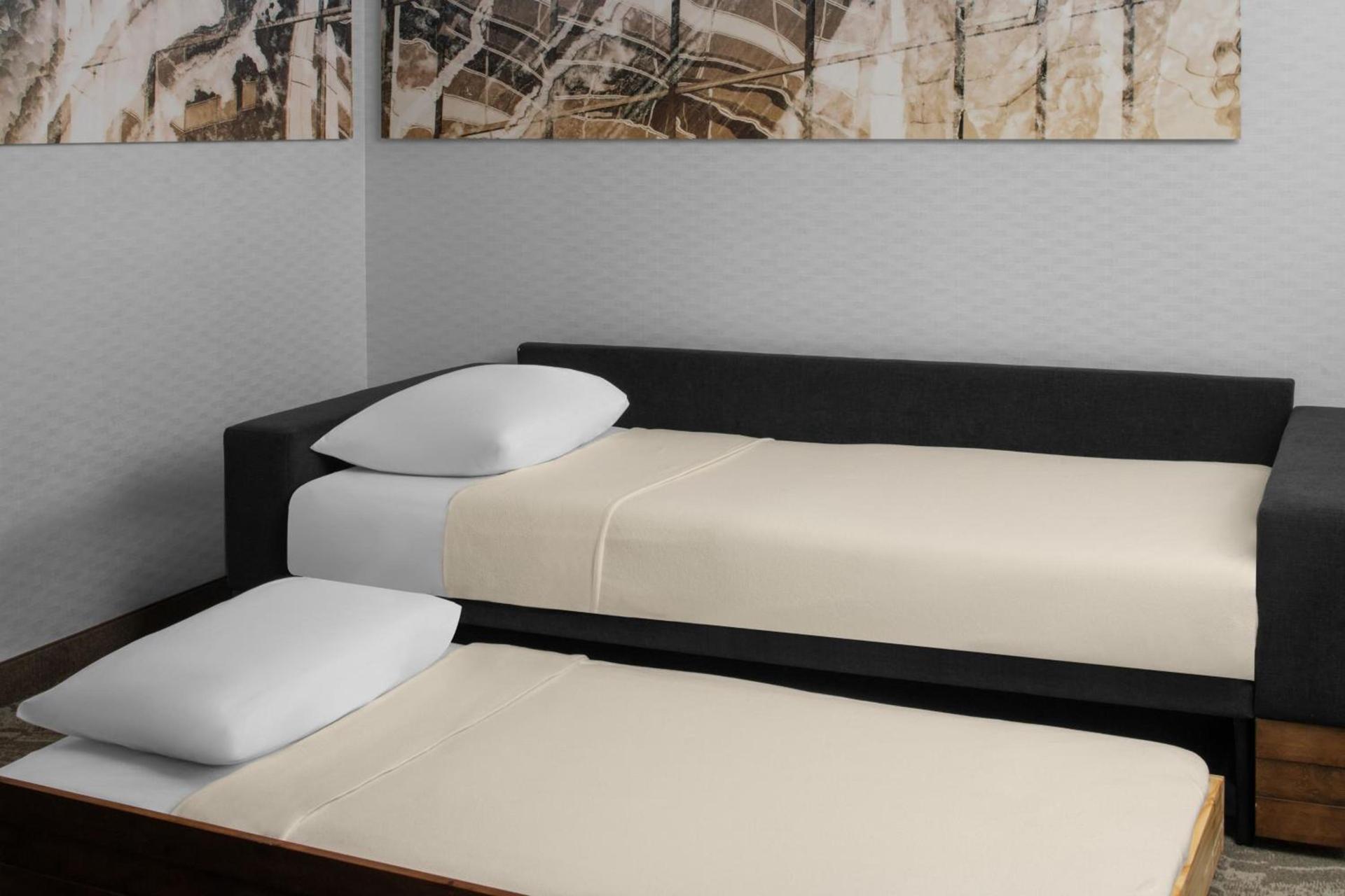 SpringHill Suites Pittsburgh Southside Works photo 8