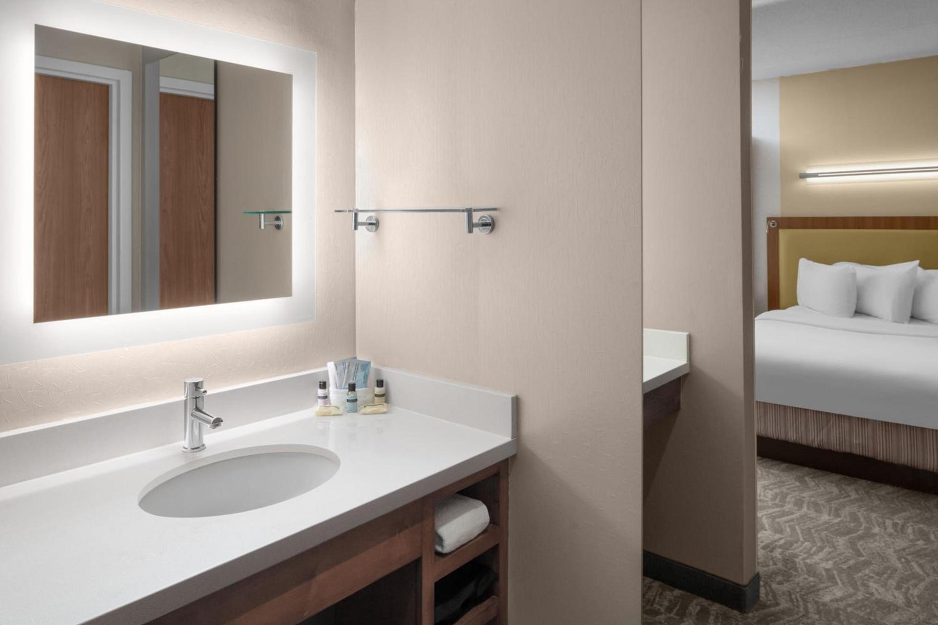 SpringHill Suites Pittsburgh Southside Works photo 10