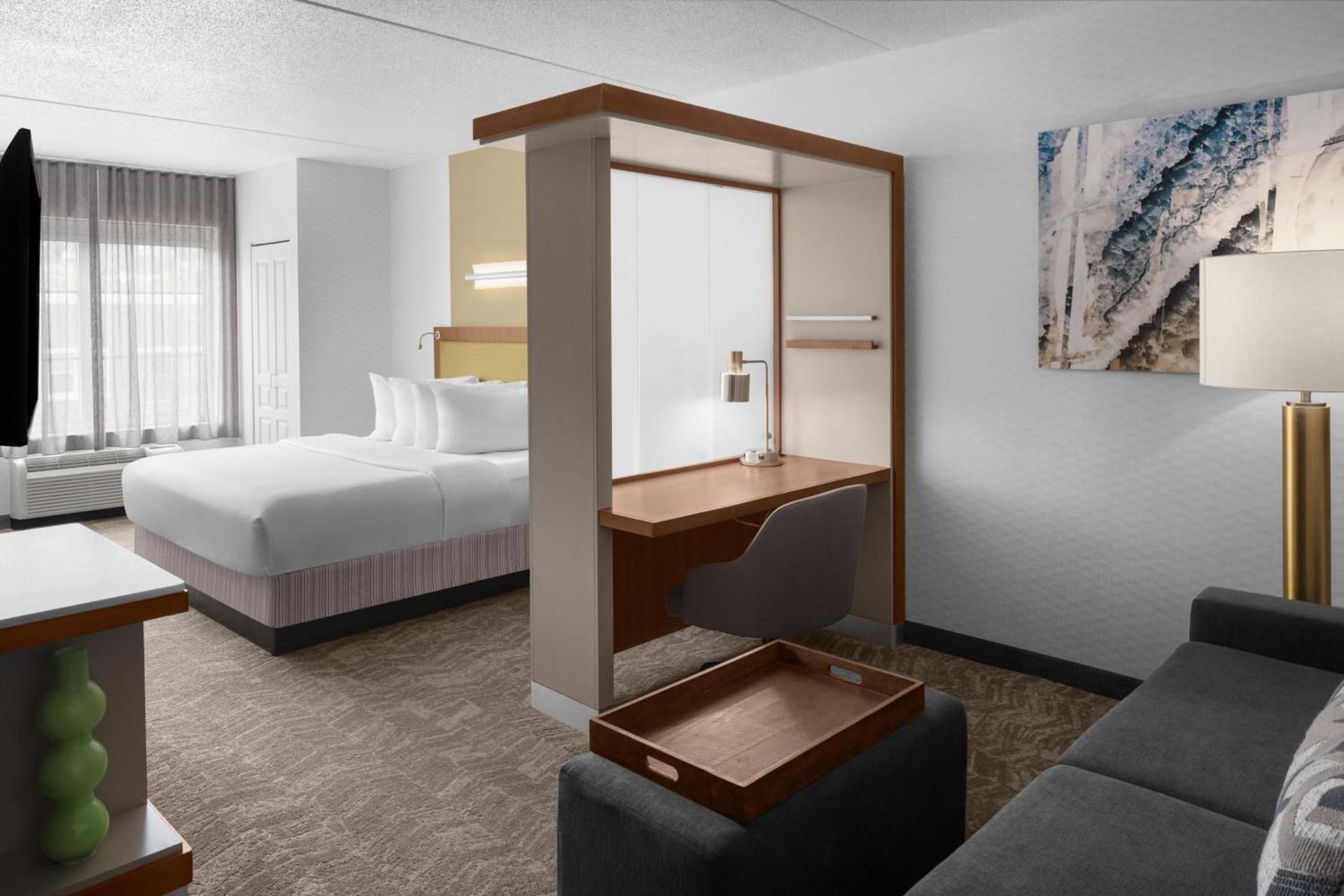SpringHill Suites Pittsburgh Southside Works photo 15