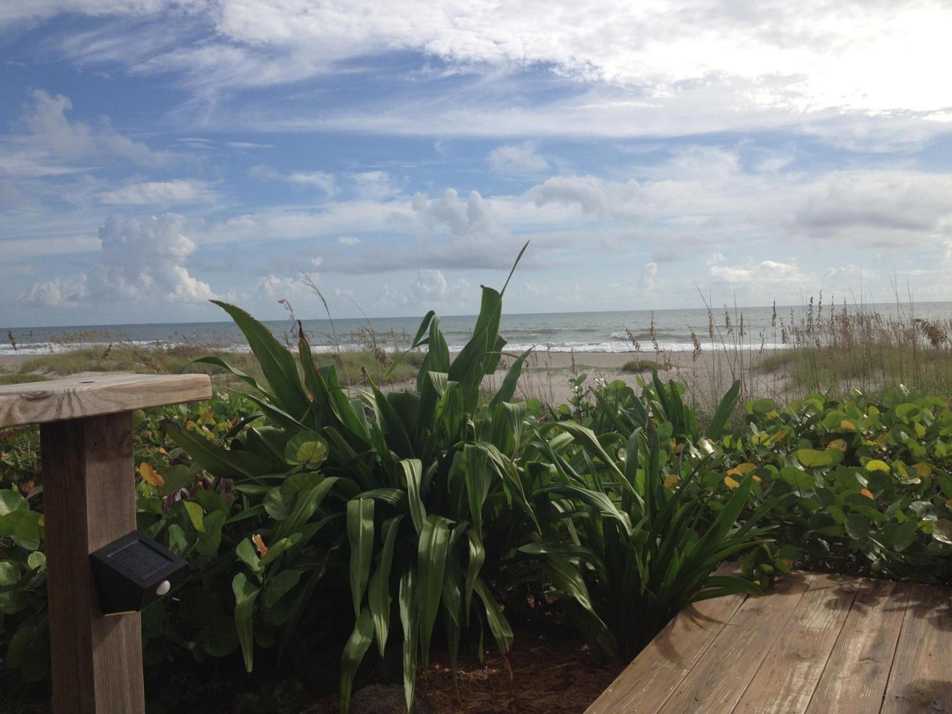 Beach Place Guesthouses photo 31