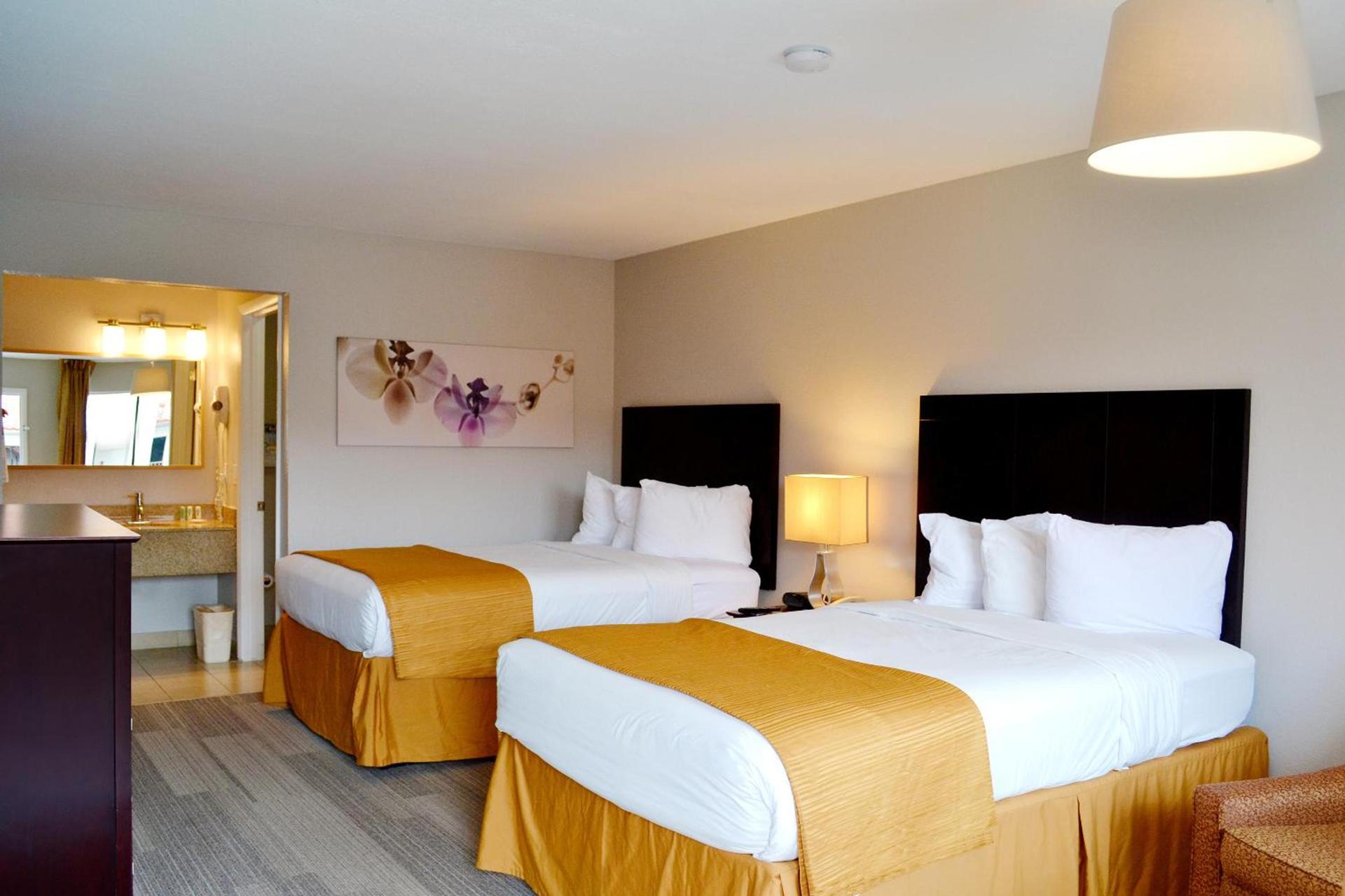 Quality Inn & Suites By the Parks photo 23