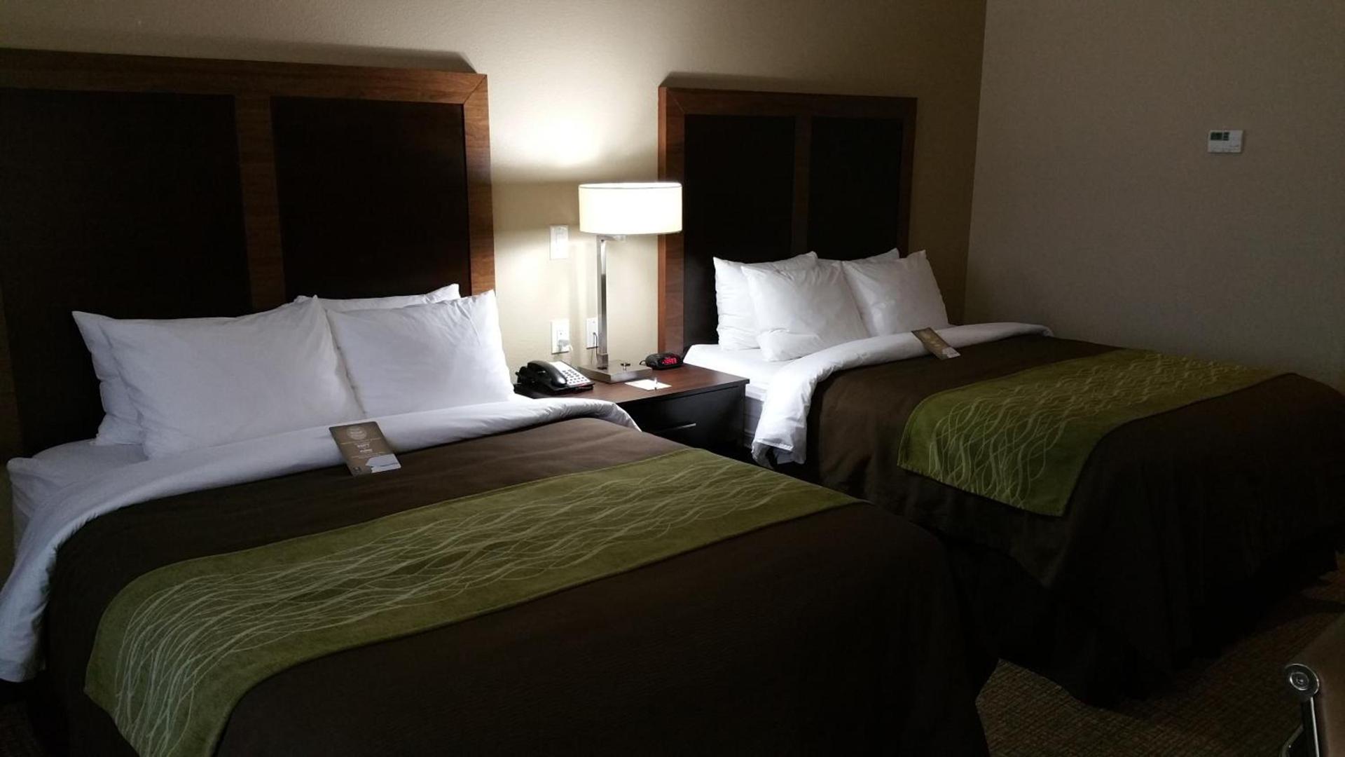 Comfort Inn & Suites Lakeside photo 6