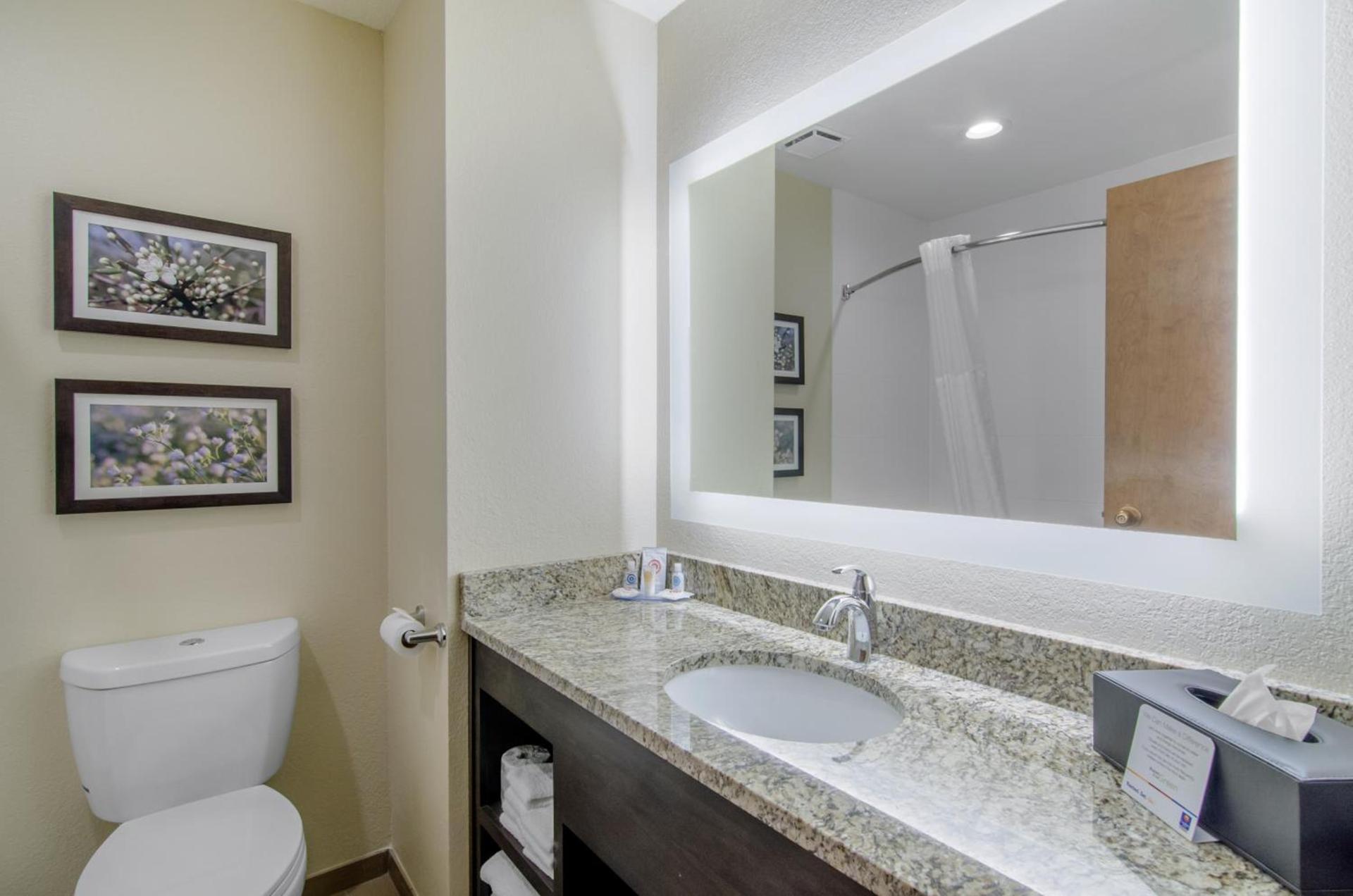 Comfort Inn St Robert-Fort Leonard Wood photo 4