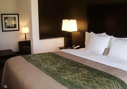 Comfort Inn & Suites Woodward photo 7
