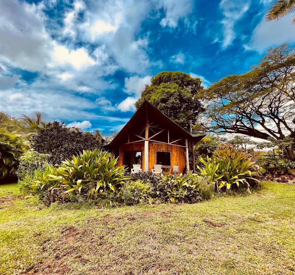 Kalani Oceanside Retreat photo 33