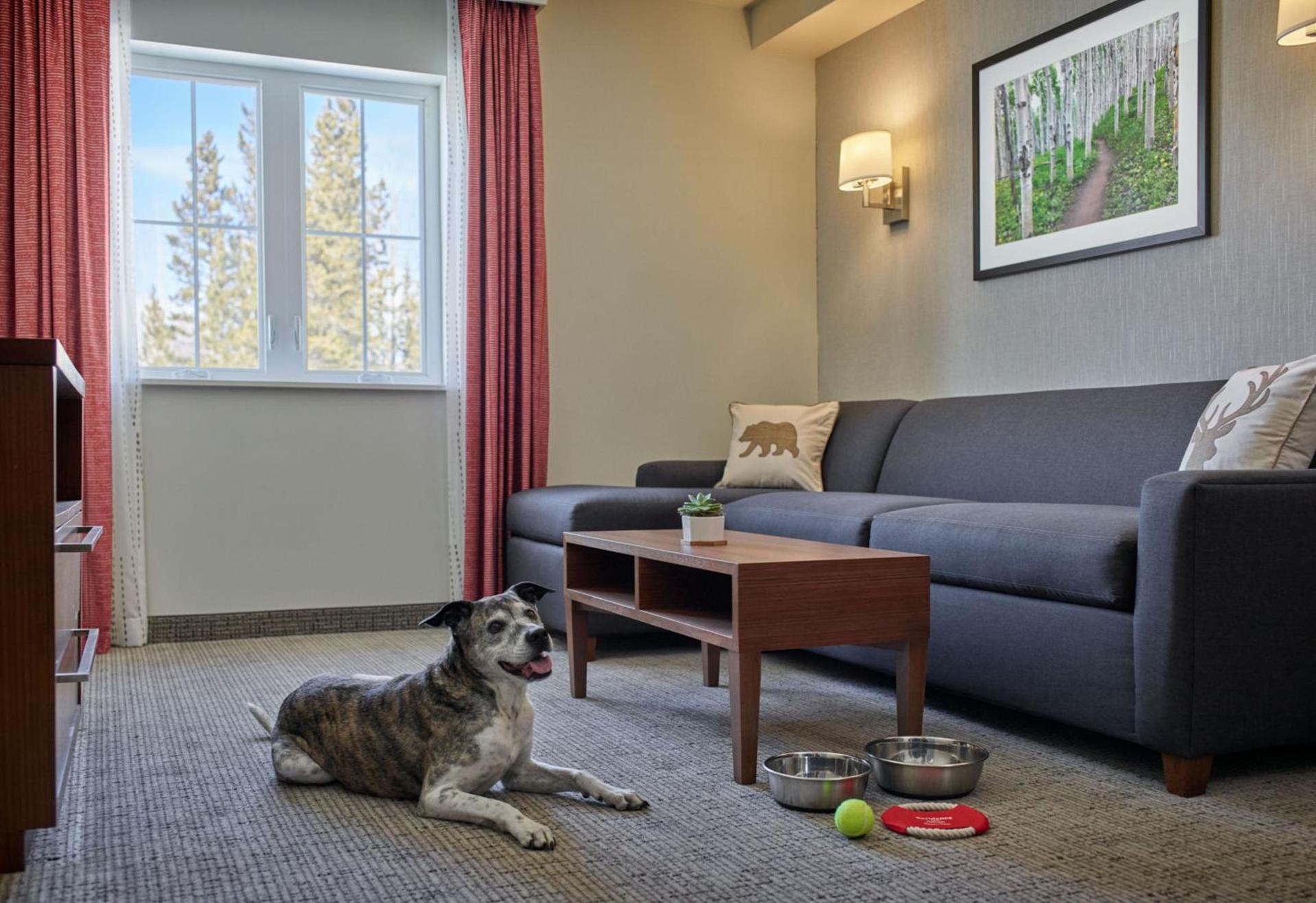 Residence Inn by Marriott Breckenridge photo 33