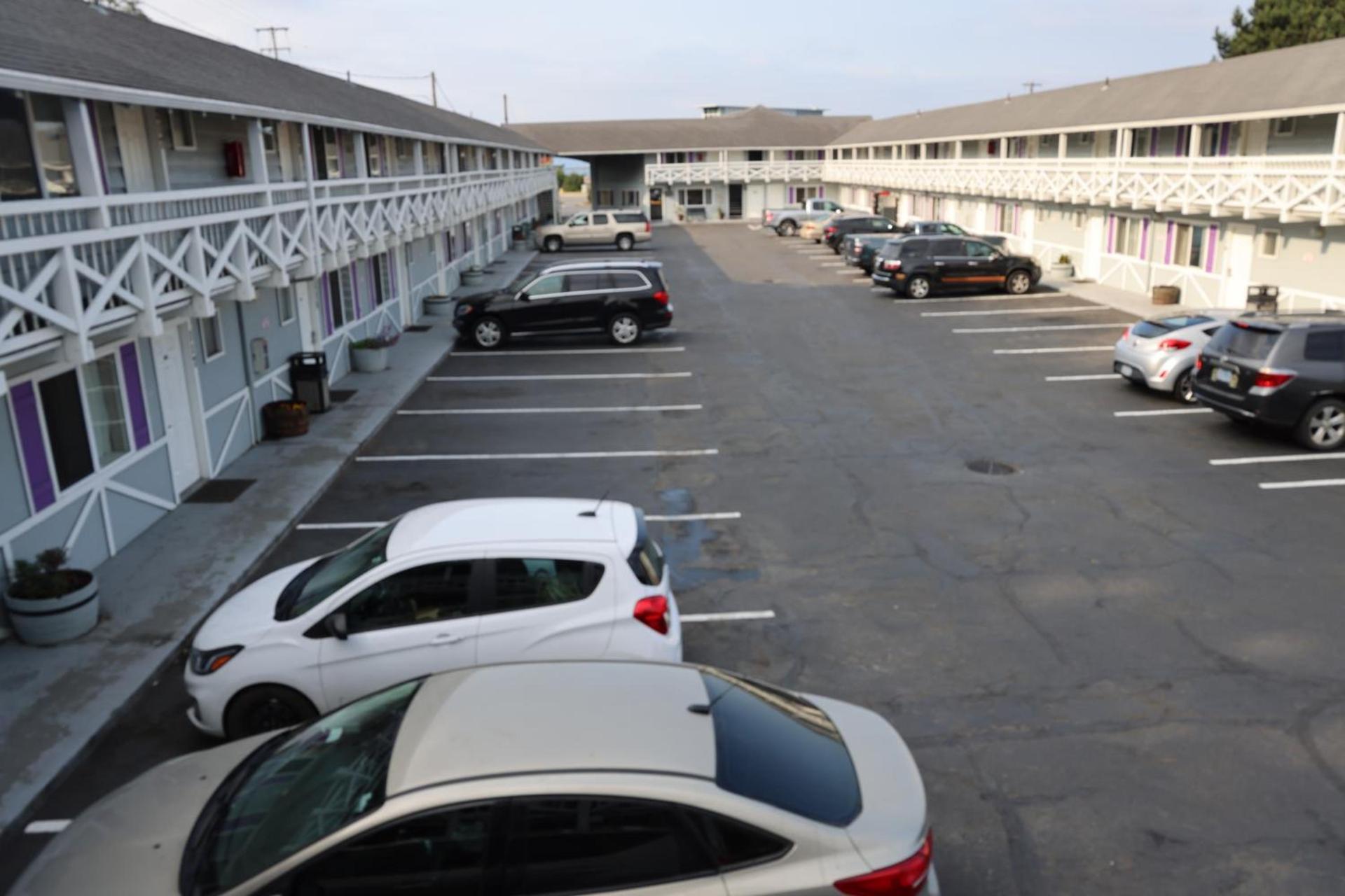 Global Inn photo 21