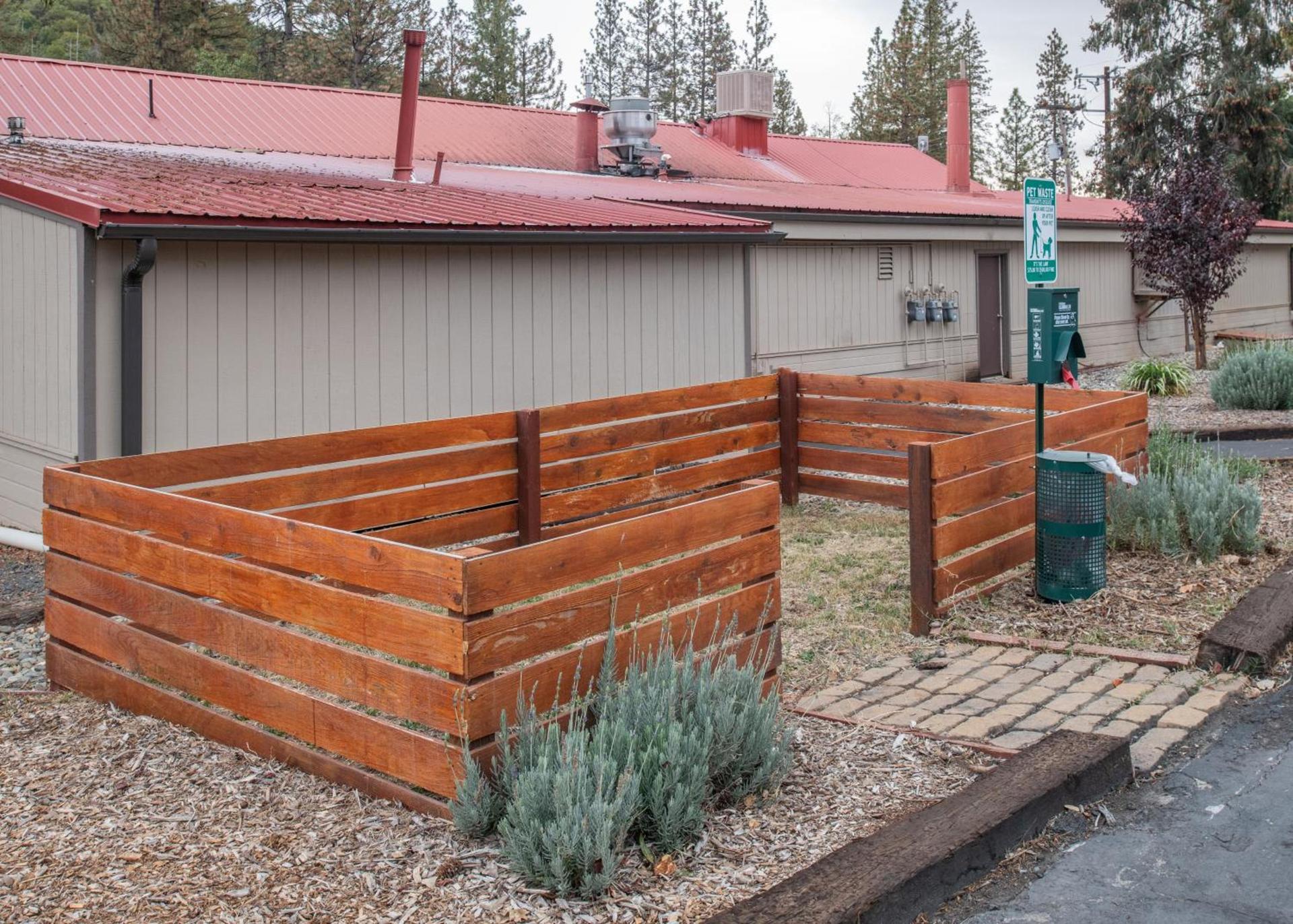 Buck Meadows Lodge photo 2